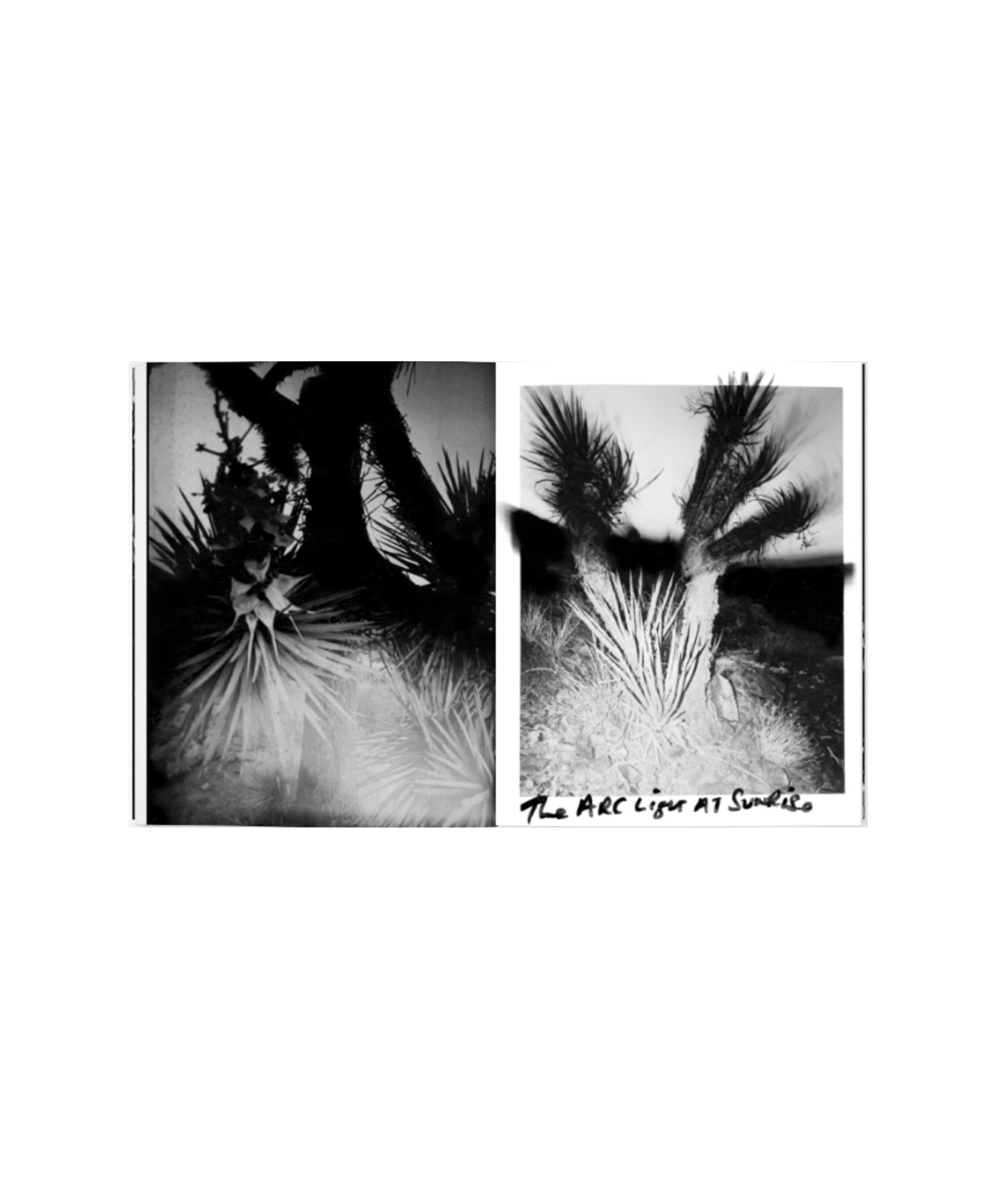 Chris Shaw - Horizon Icons