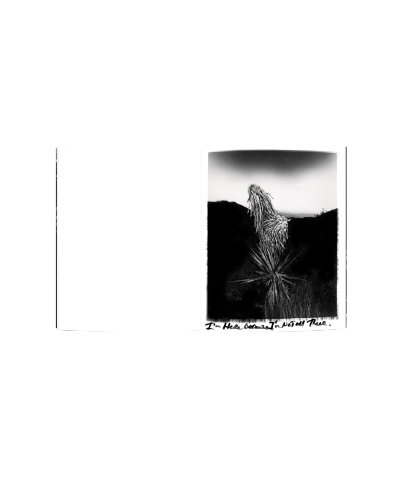 Chris Shaw - Horizon Icons