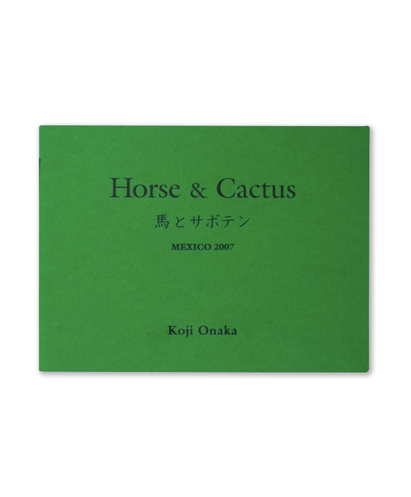 Koji Onaka - Horse & Cactus