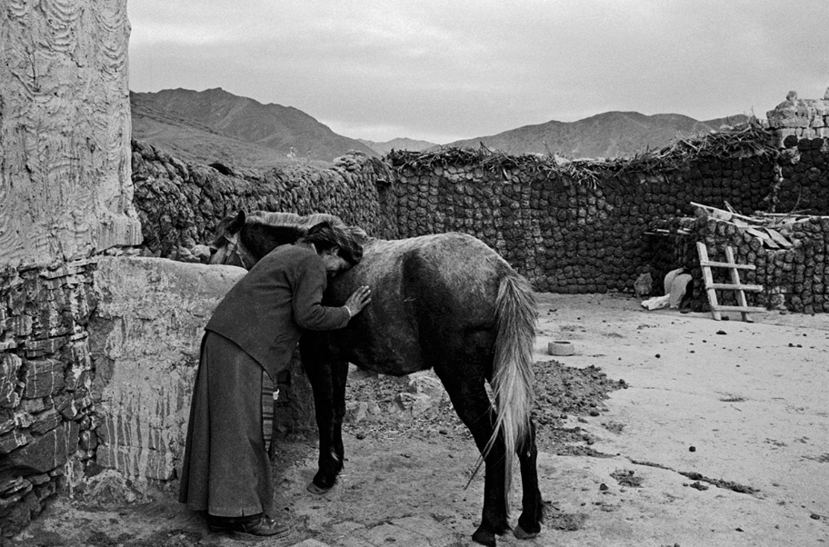 YANG YANKANG - THE REFLECTION OF SOUL