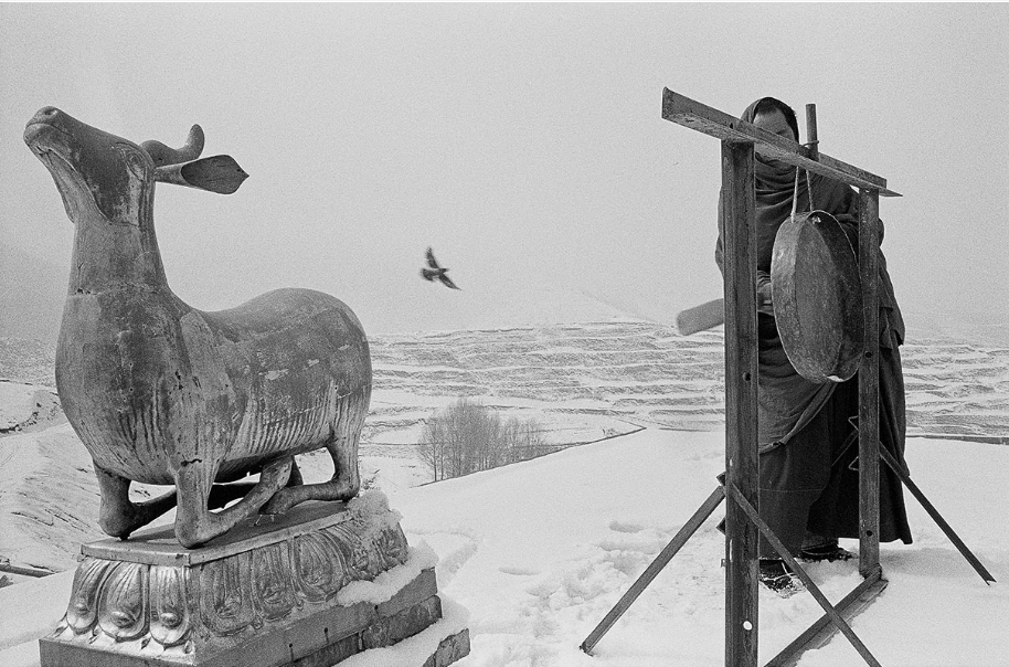 YANG YANKANG - THE REFLECTION OF SOUL
