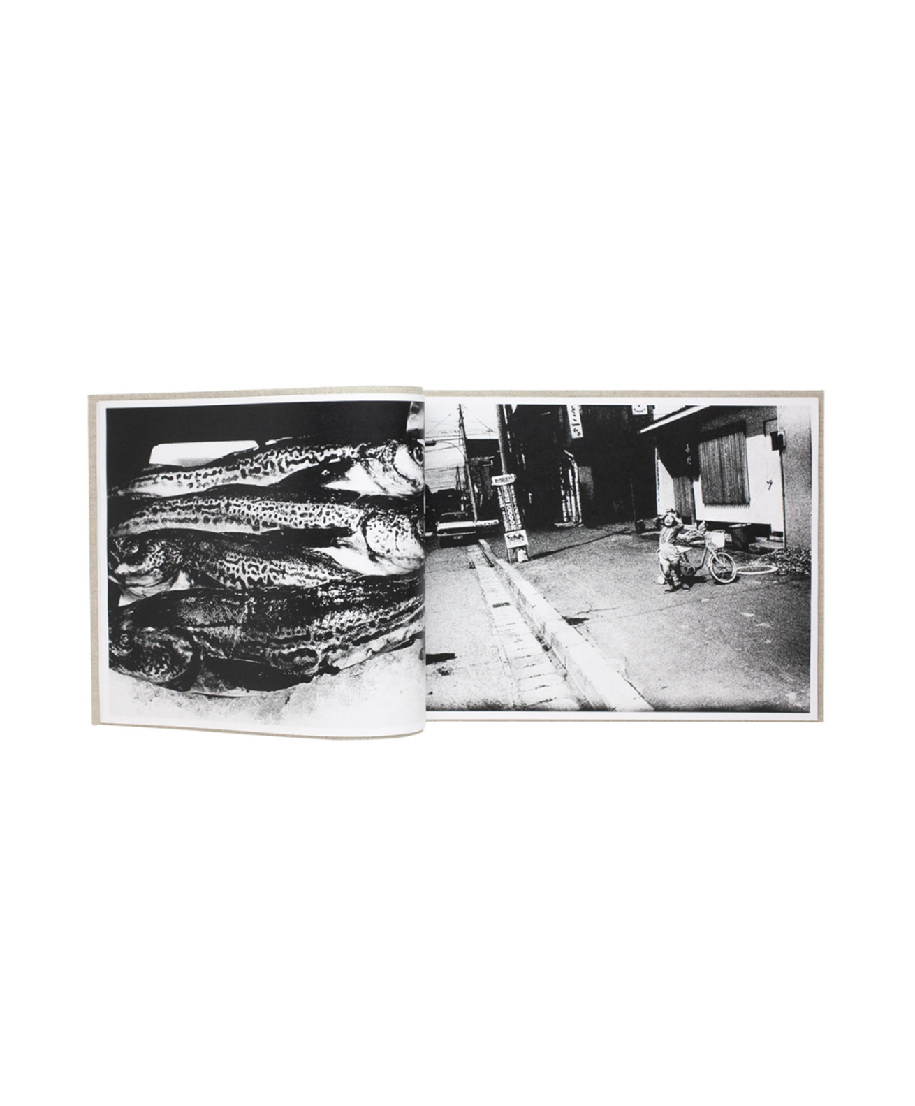 Daido Moriyama - Hokkaido