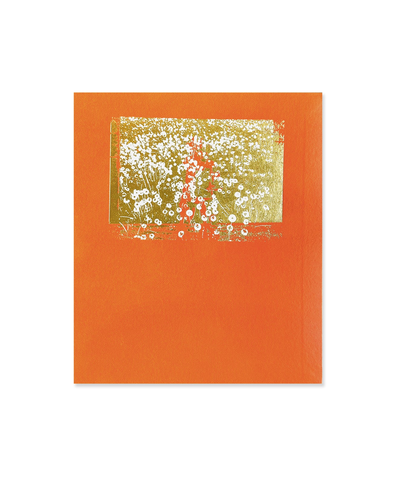 DAVID FAVROD - GAIJIN OMOIDE POROPORO HIKARI