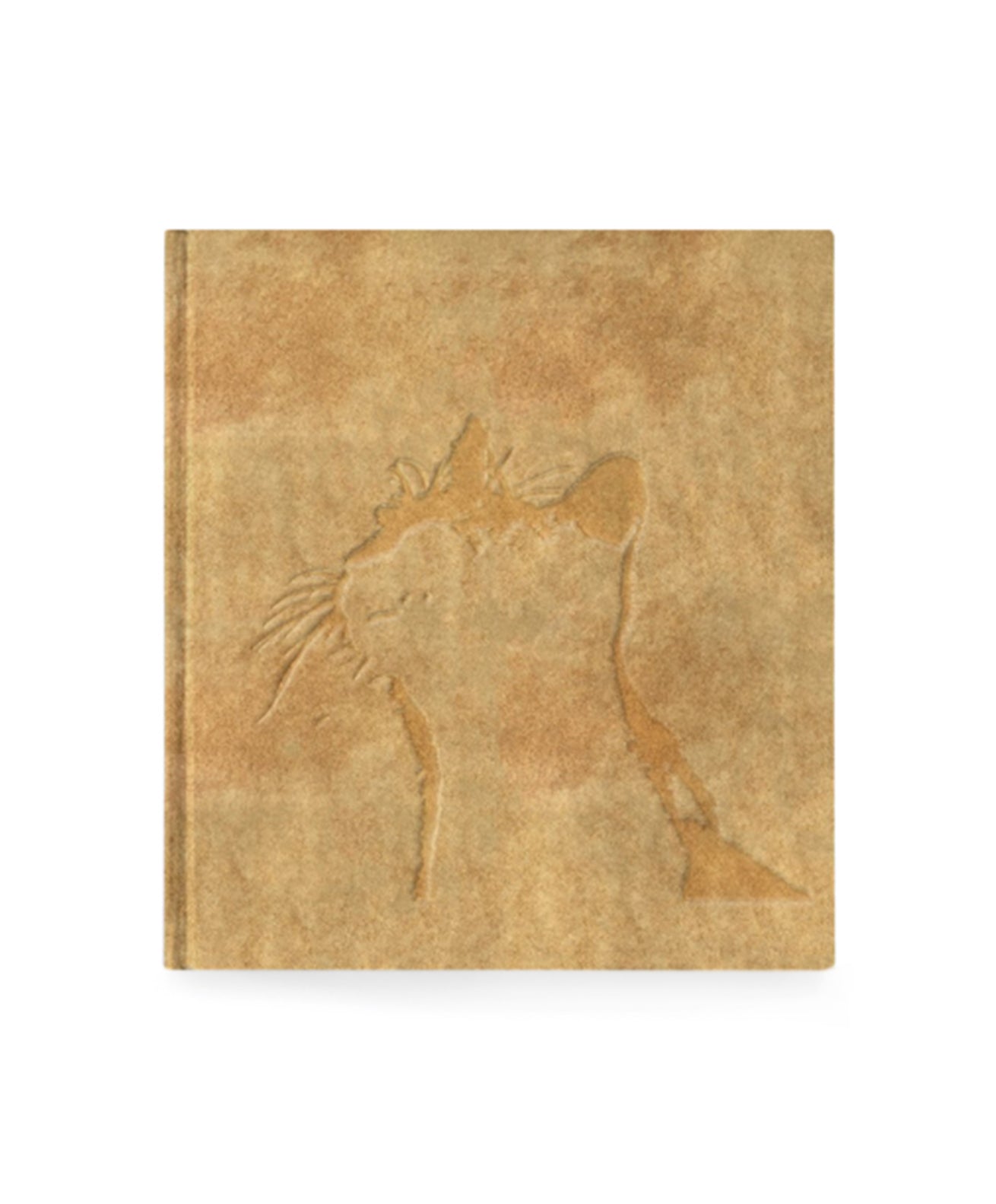 MASAHISA FUKASE - AFTERWORD