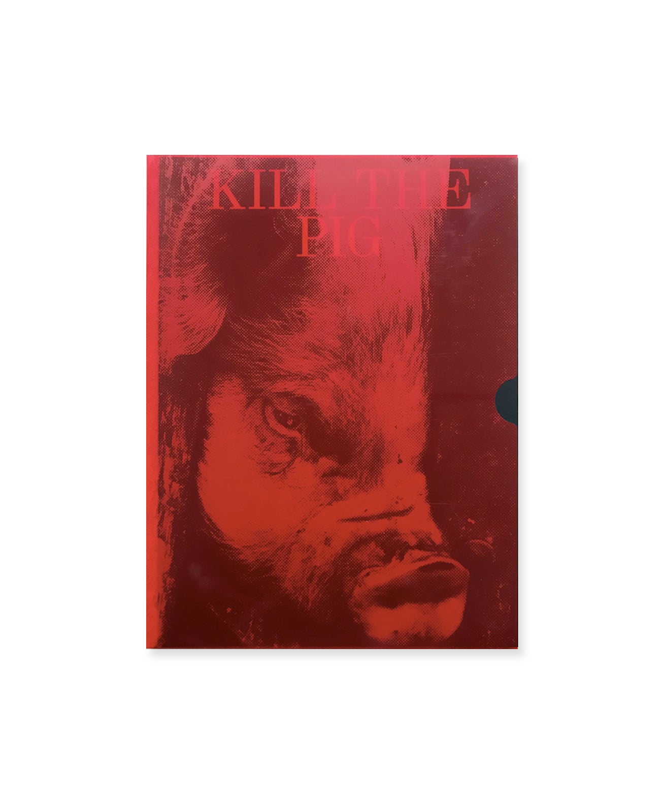 MASAHISA FUKASE - KILL THE PIG