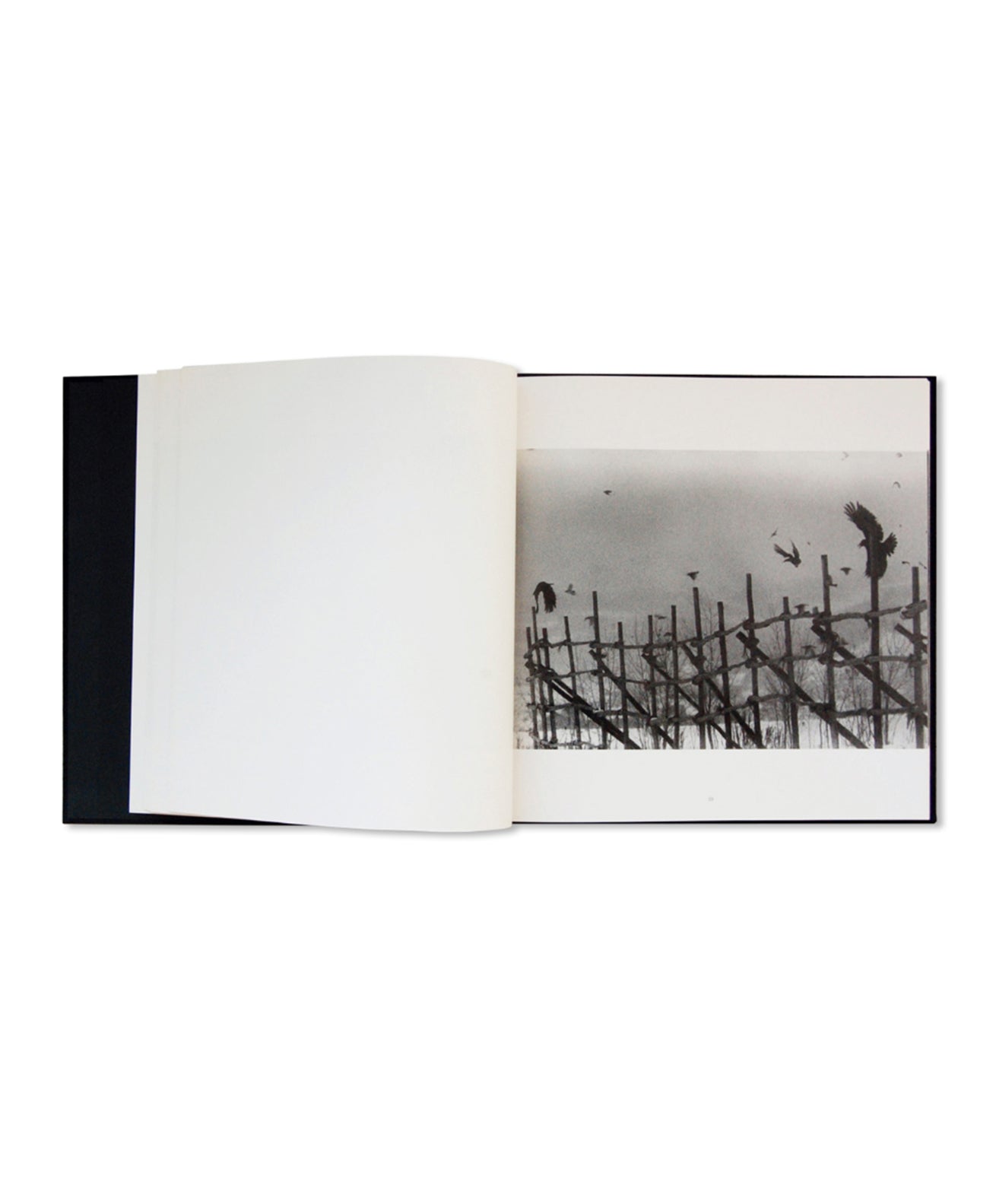 Masahisa Fukase - Ravens