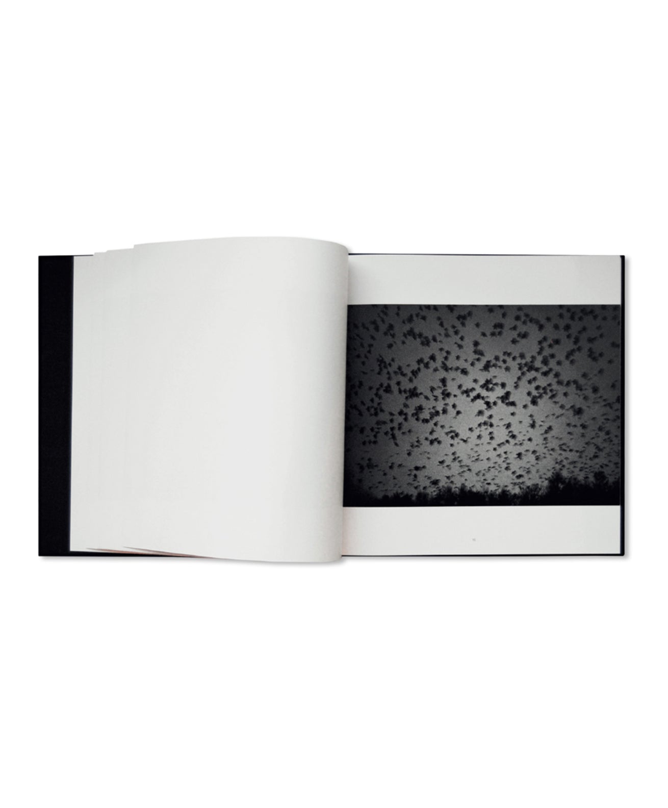 Masahisa Fukase - Ravens