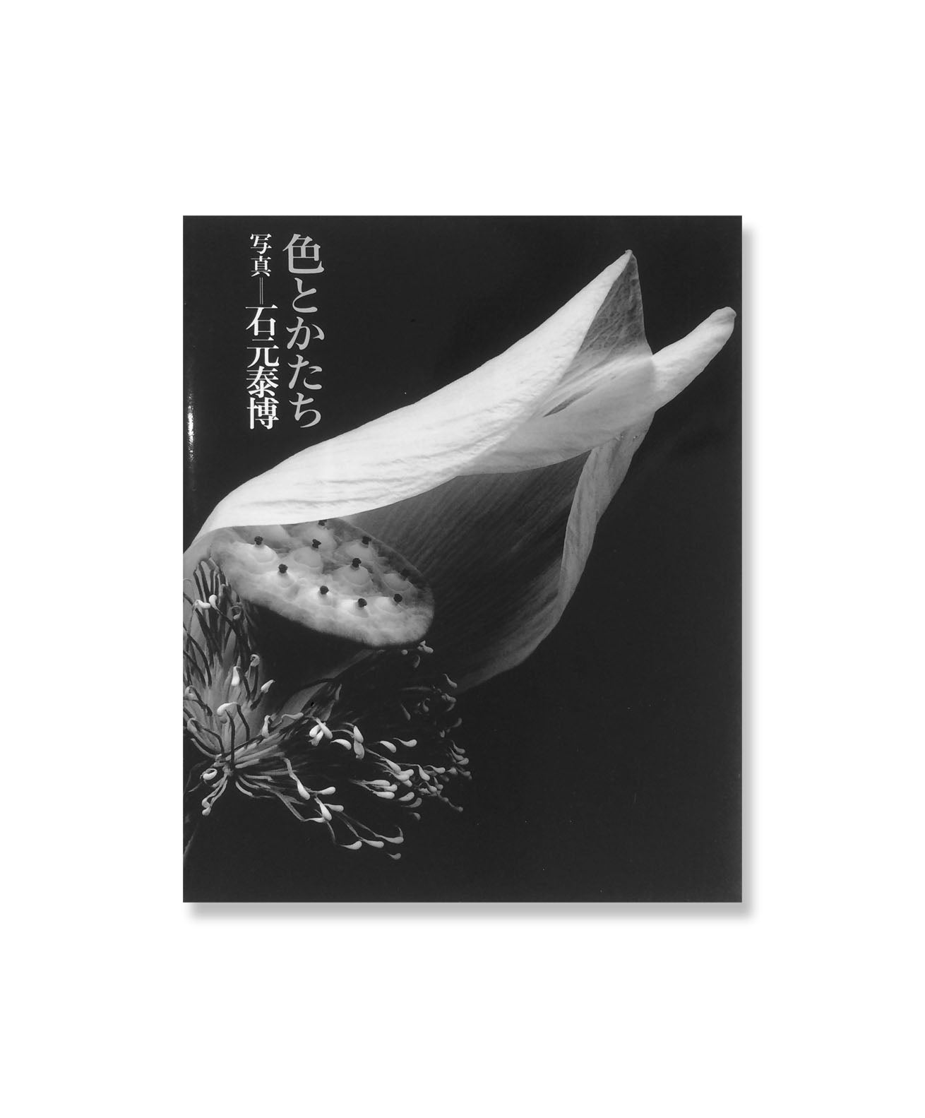 YASUHIRO ISHIMOTO - Couleur et Forme