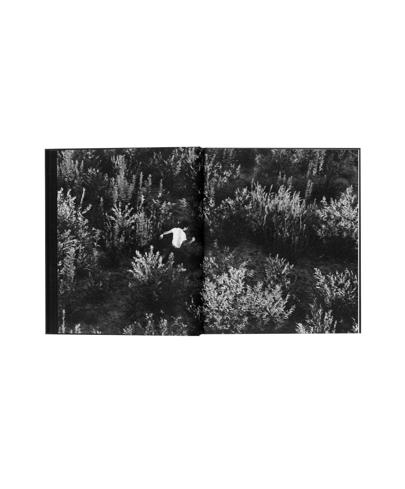 © Ken Light/Contact Press Images. Courtesy TBW Books