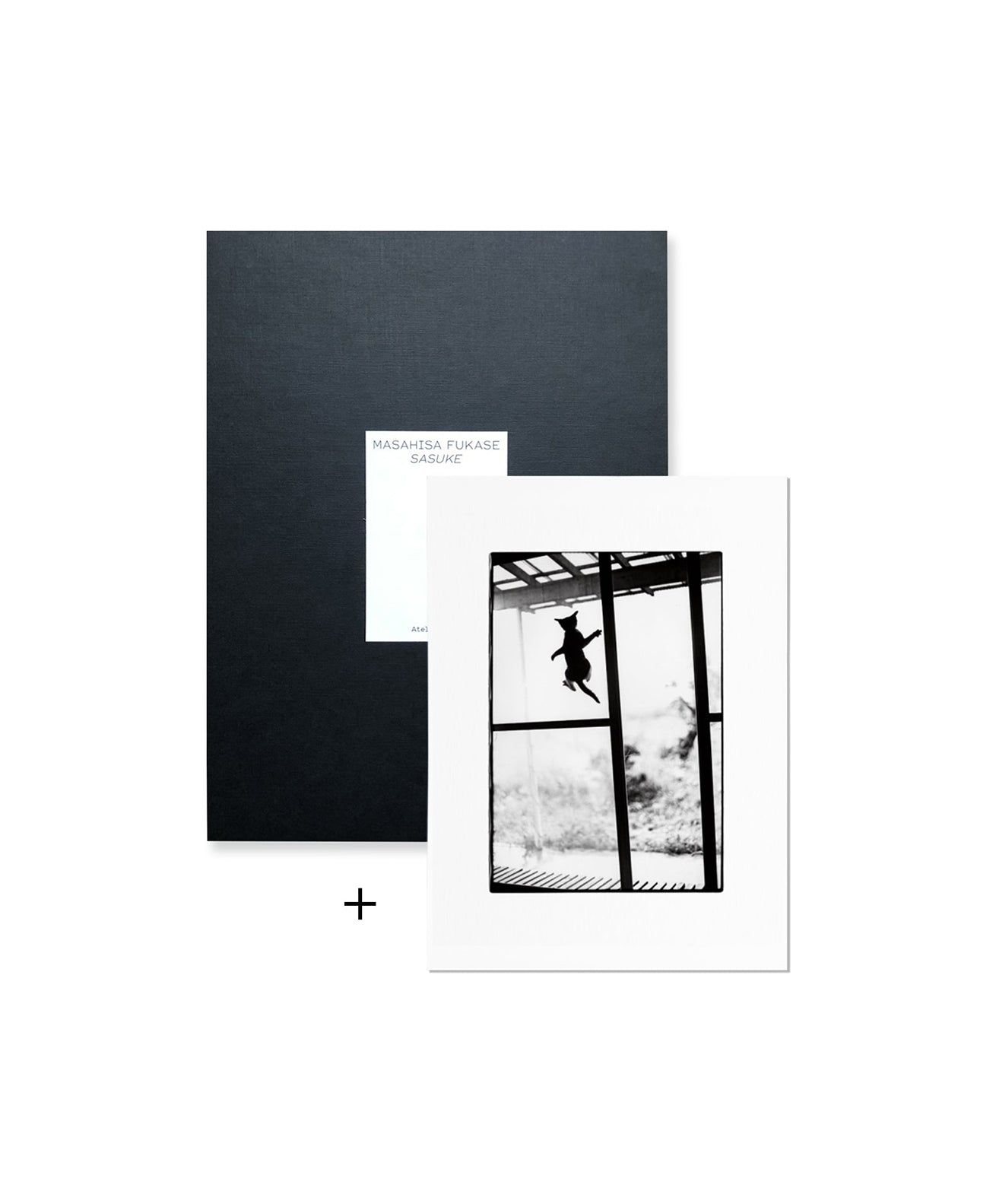 MASAHISA FUKASE - SASUKE (SPECIAL EDITION A)