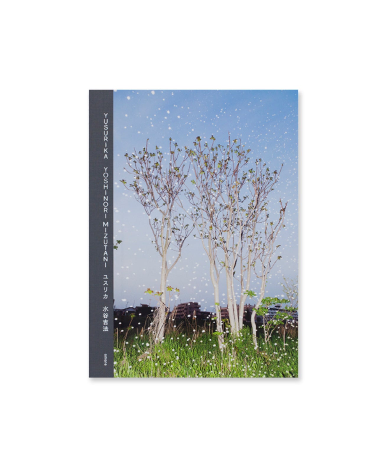 YOSHINORI MIZUTANI - YUSURIKA (SPECIAL EDITION) – Galerie Écho