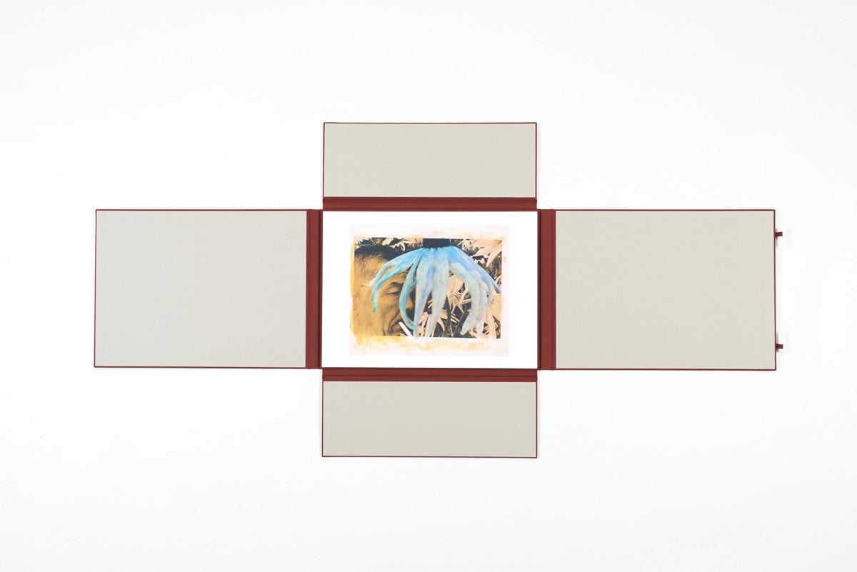 Masahisa Fukase - Private Scenes