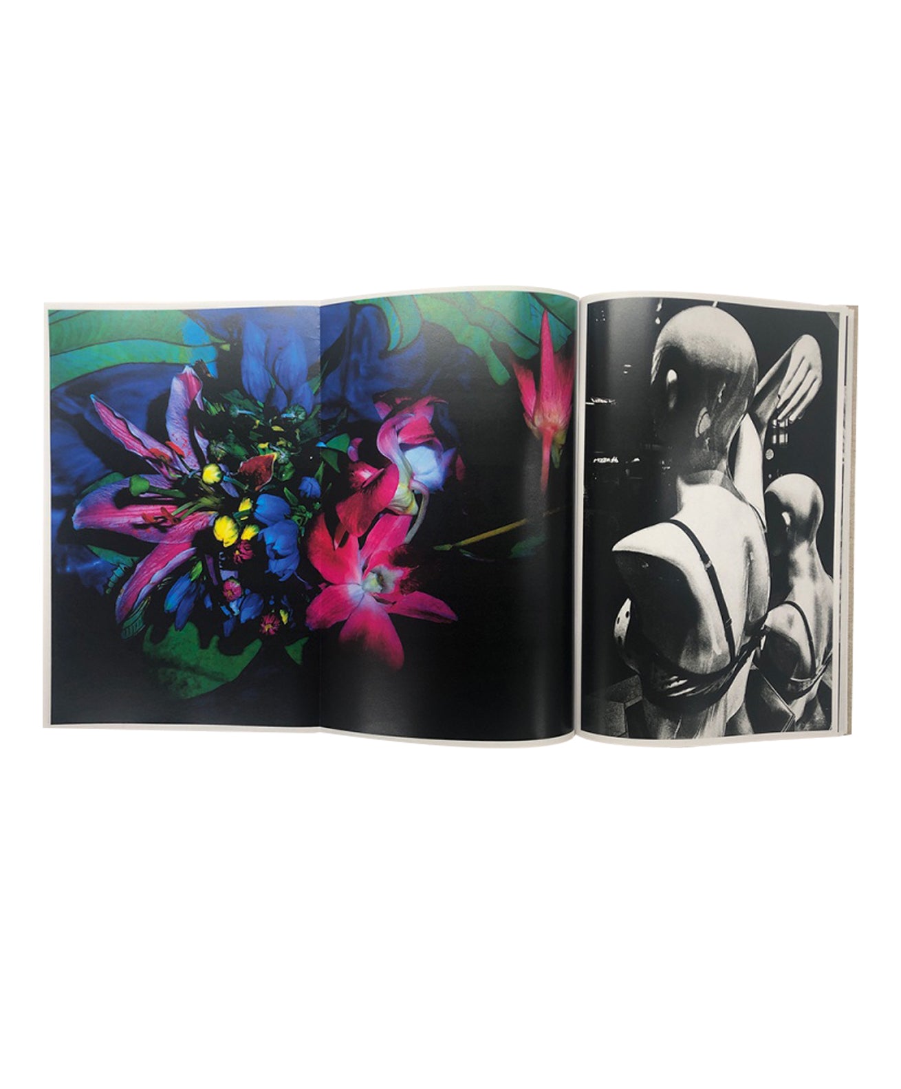 DAIDO MORIYAMA - NAOMI (SIGNED)