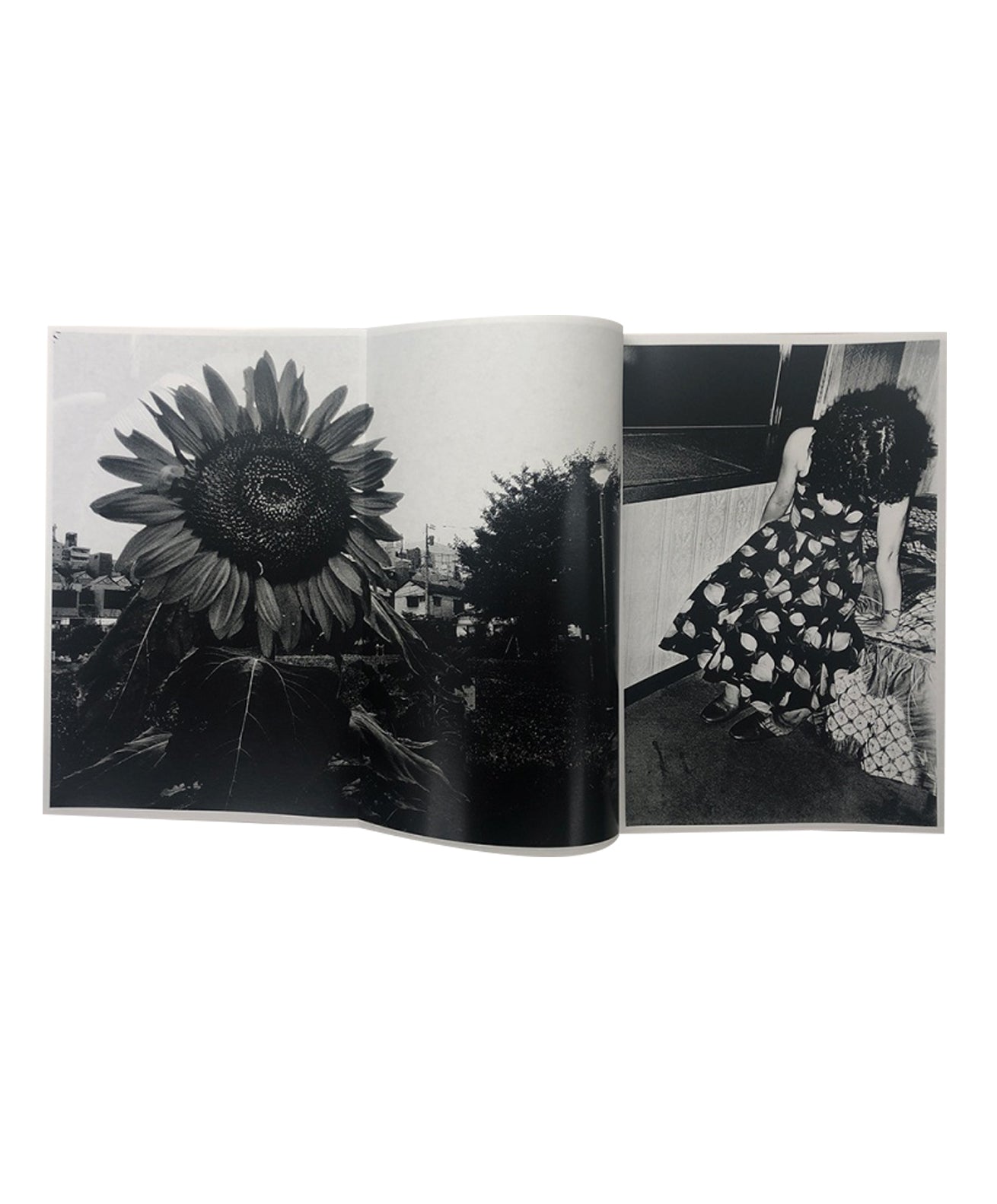 DAIDO MORIYAMA - NAOMI (SIGNED)