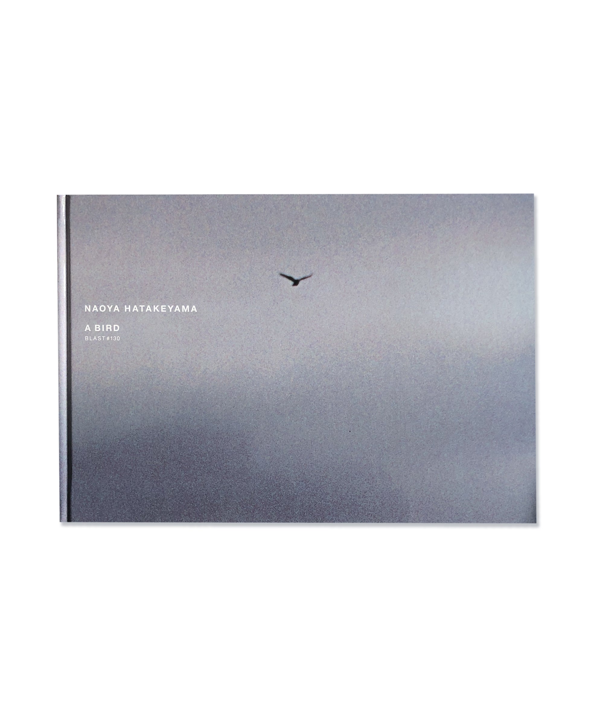 Naoya Hatakeyama - A Bird Blast #130