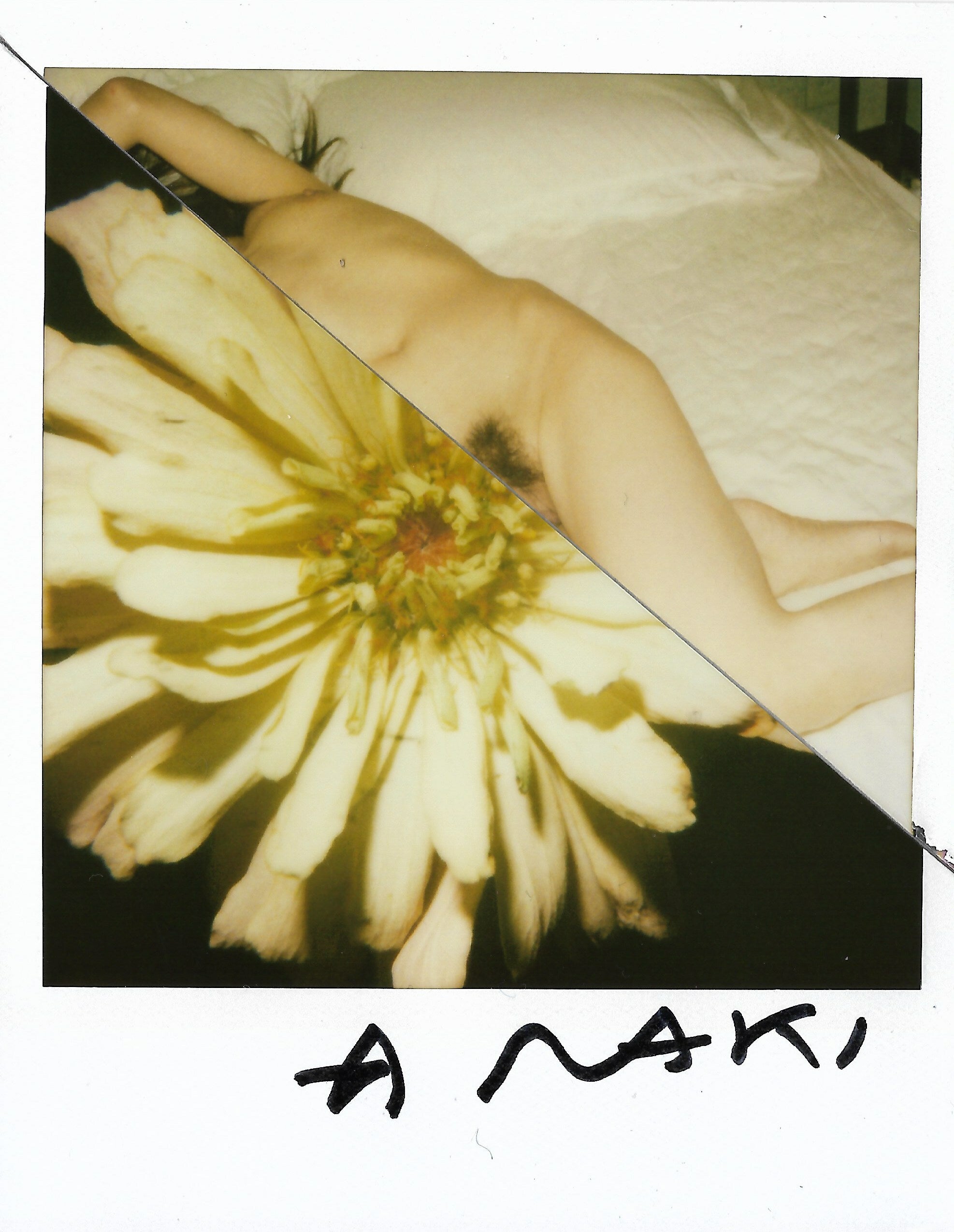 POLAROID ARAKI