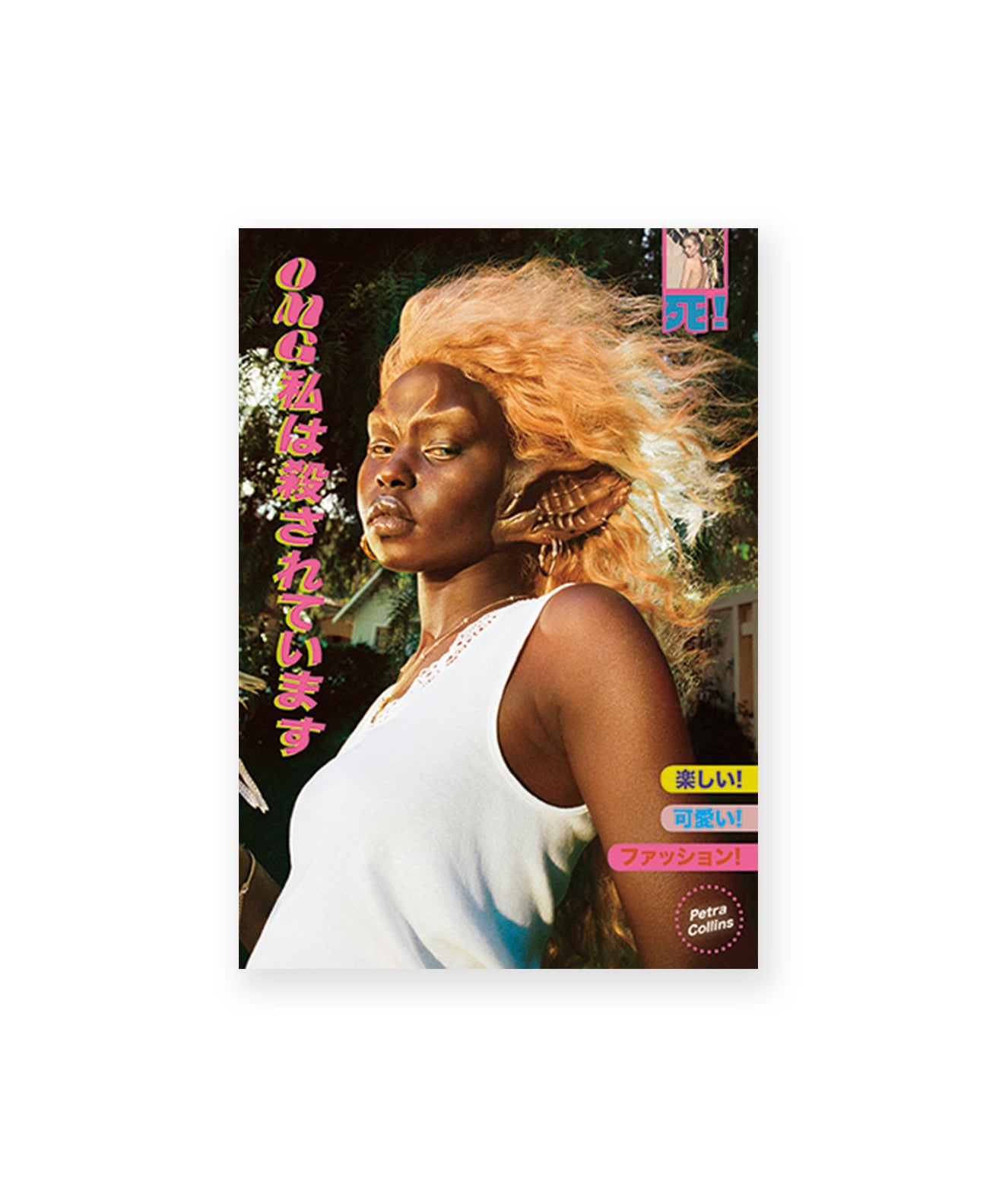 PETRA COLLINS - OMG ! IM BEING KILLED