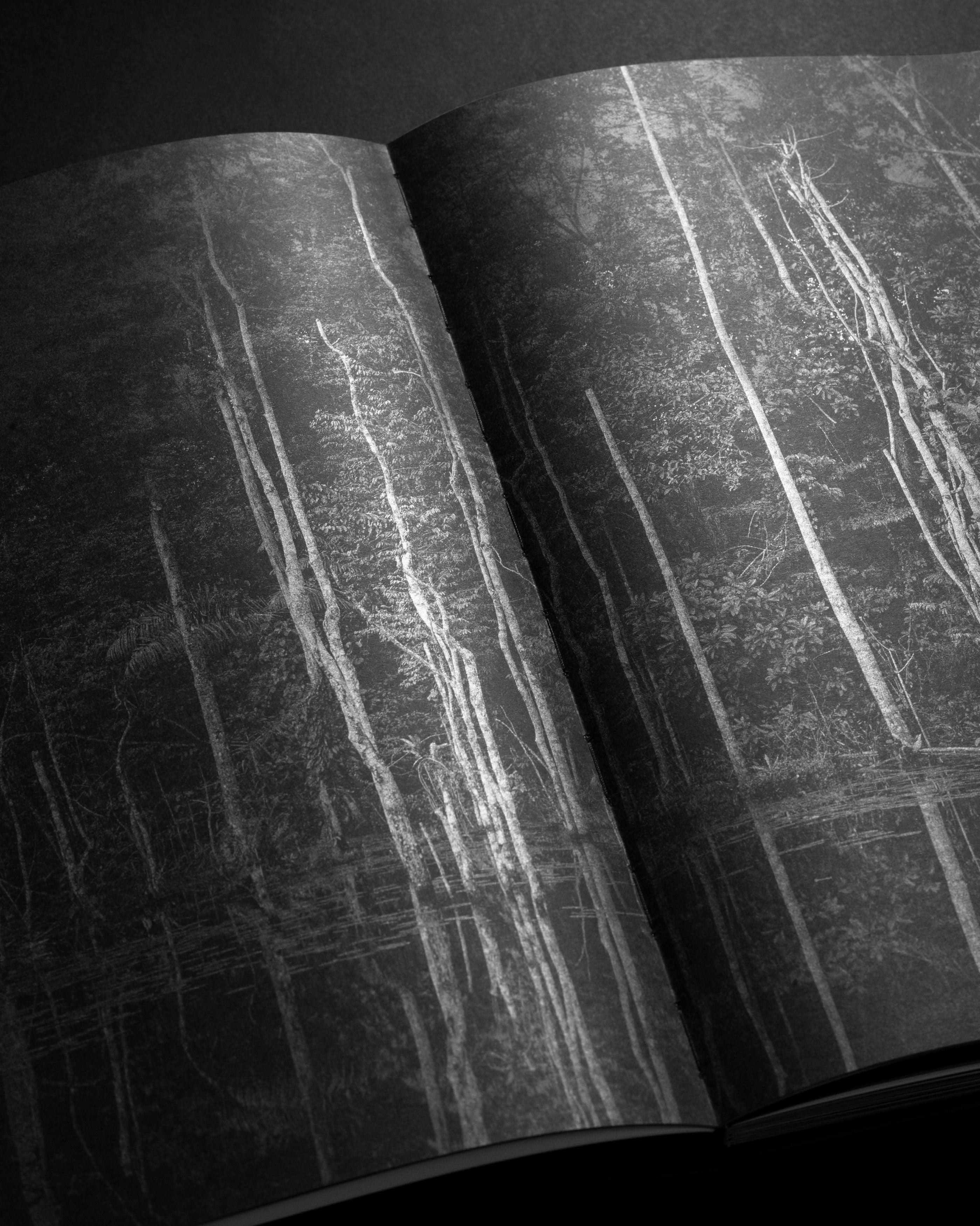 ELLIOTT VERDIER - REACHING FOR DAWN (SPECIAL EDITION)