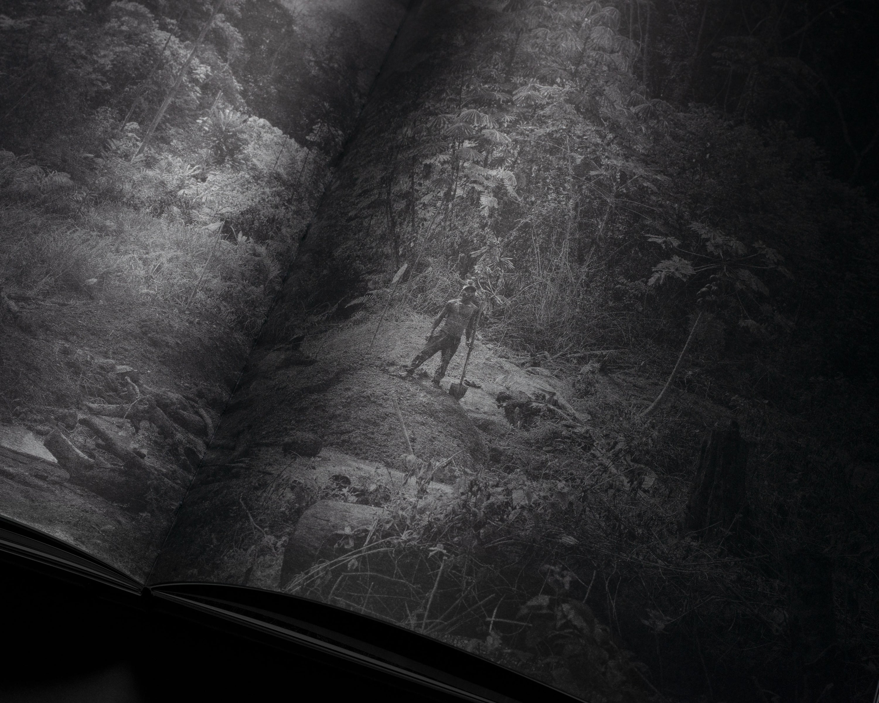 ELLIOTT VERDIER - REACHING FOR DAWN (SPECIAL EDITION)