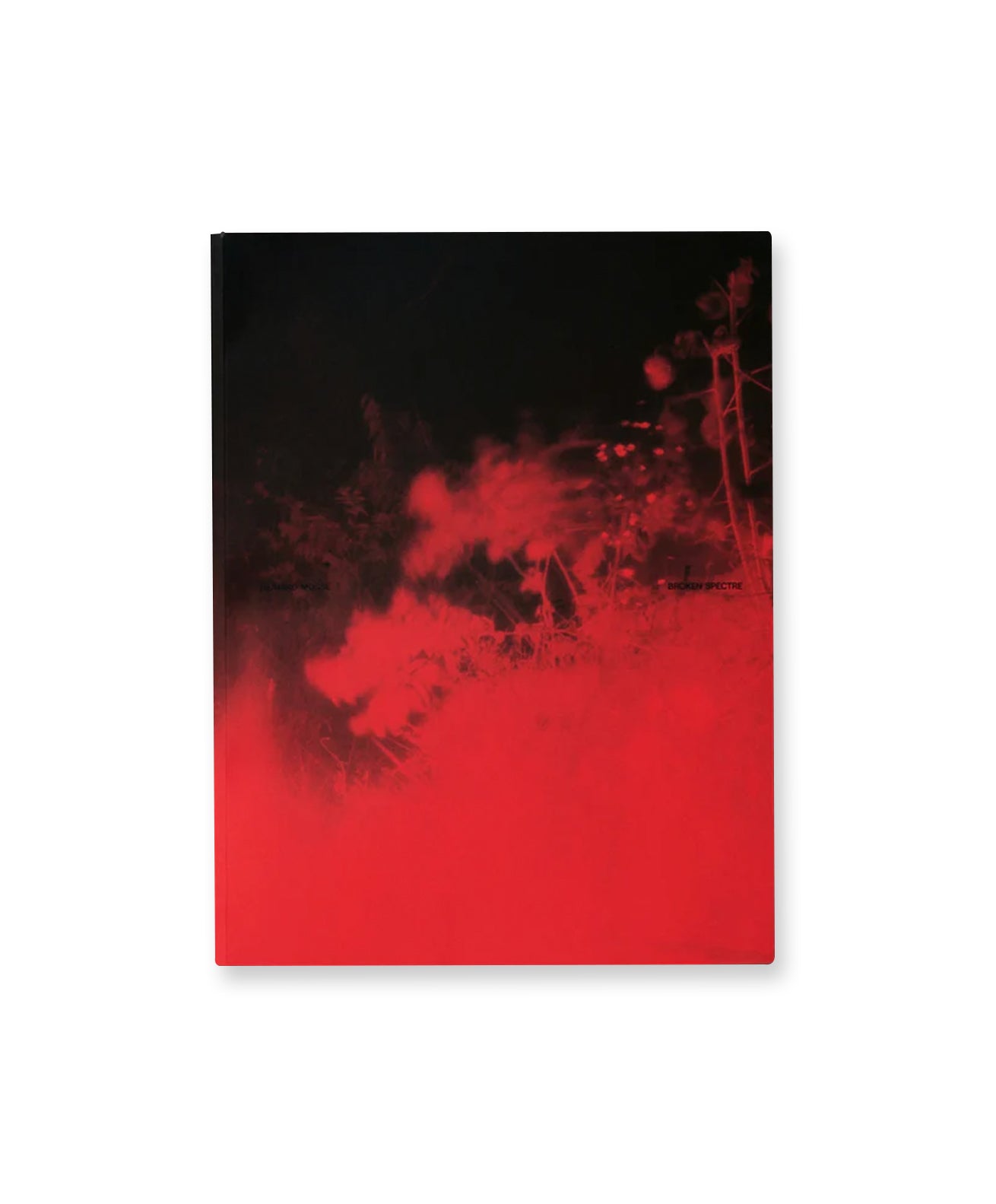 Richard Mosse - Broken Spectre