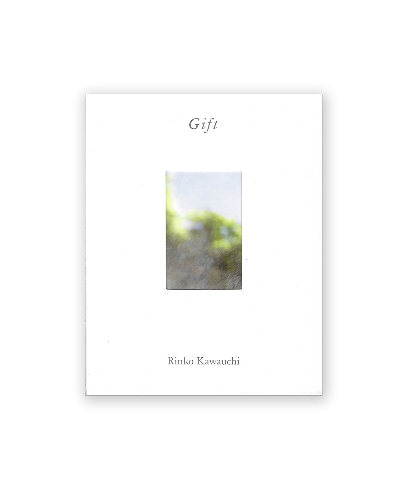 アート・デザイン・音楽 Rinko Kawauchi / Terri Weifenbach: Gift RINKO KAWAUCHI AND TERRI WEIFENBACH – GIFT – Galerie Écho