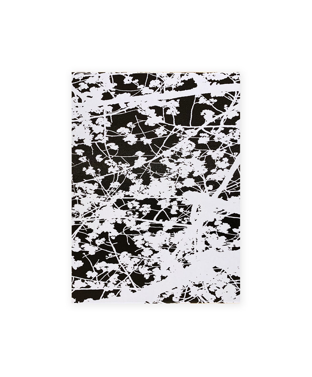 RONIN DE GOEDE - 
ASAKUSA - Special Edition B