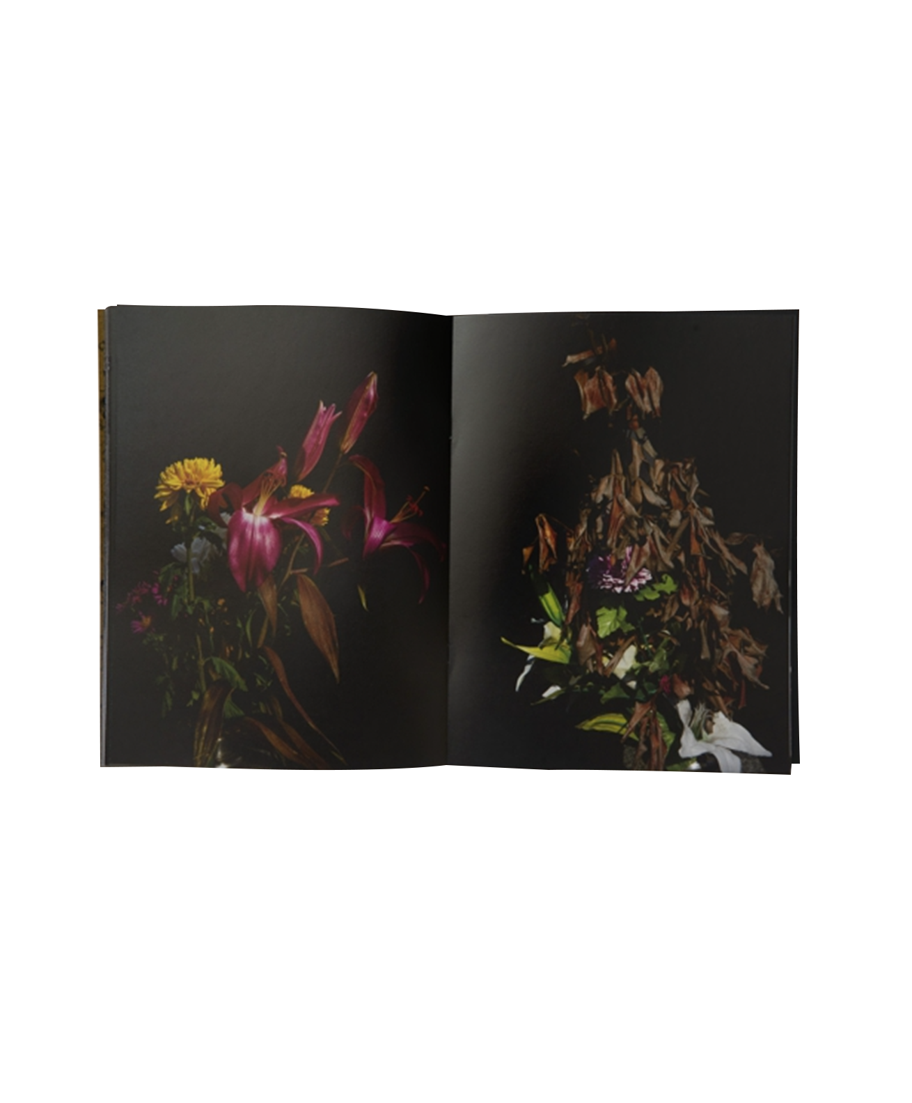 Sakiko Nomura - Tsukiyo