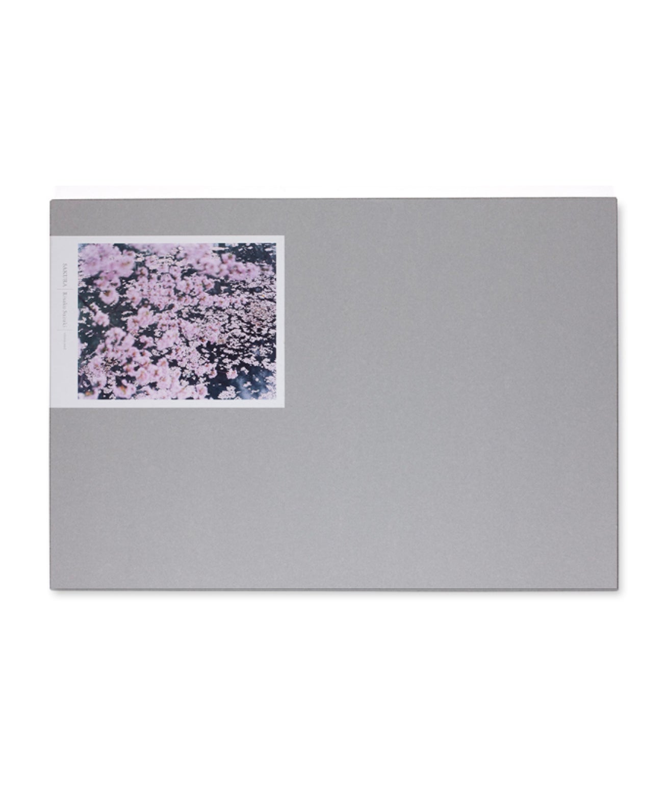 RISAKU SUZUKI - SAKURA