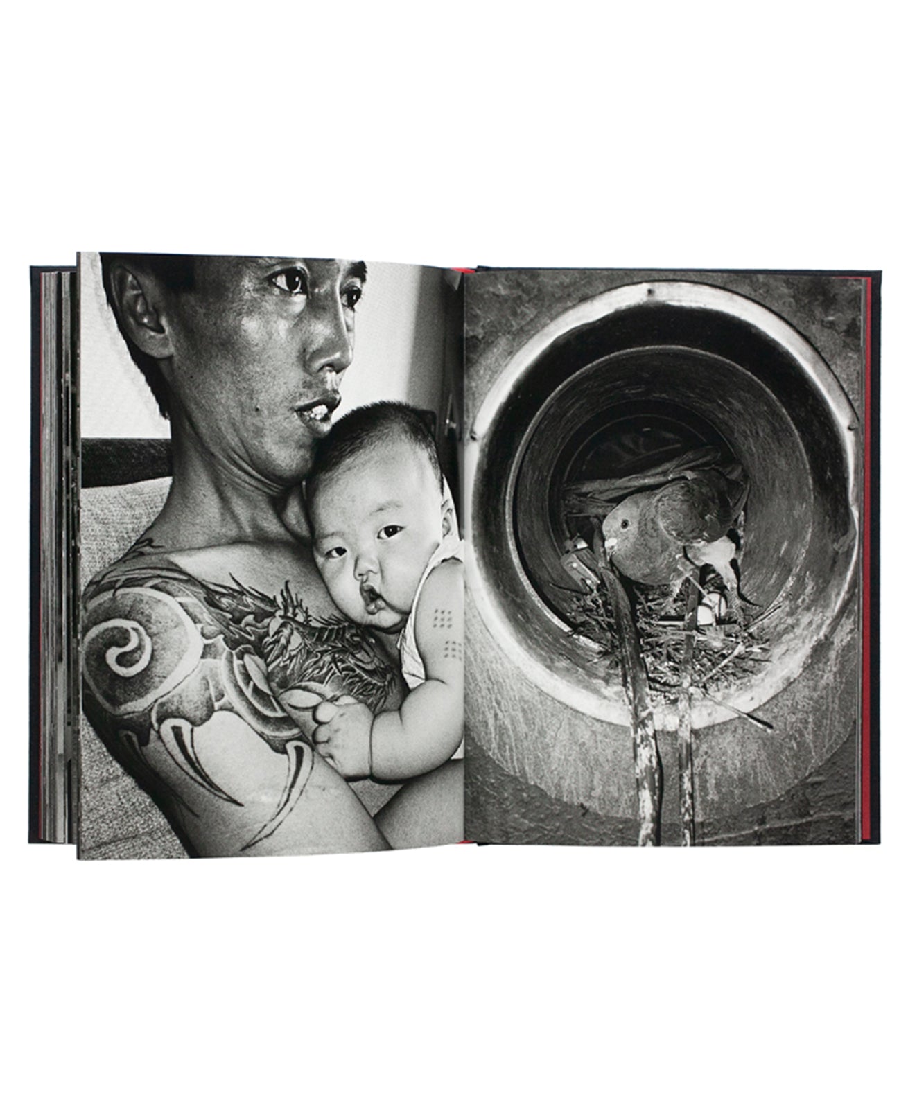 SEUNG-WOO YANG - The best days