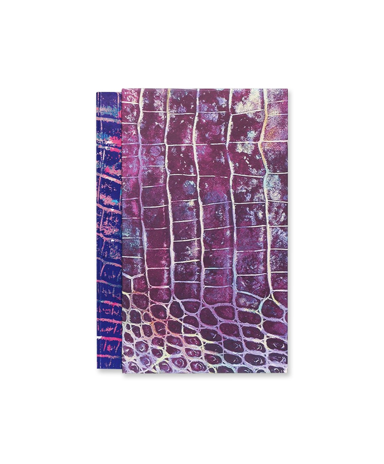 RAPHAEL BARONTINI - SOUKHOS