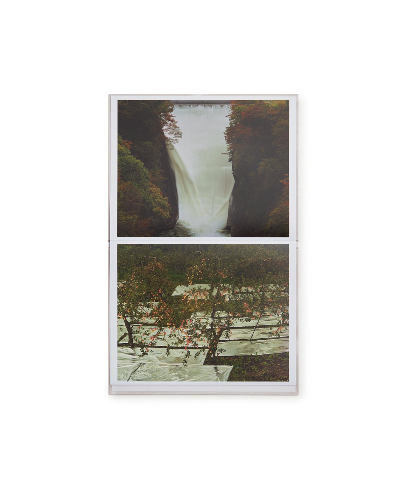 TOSHIO SHIBATA - PAINTING