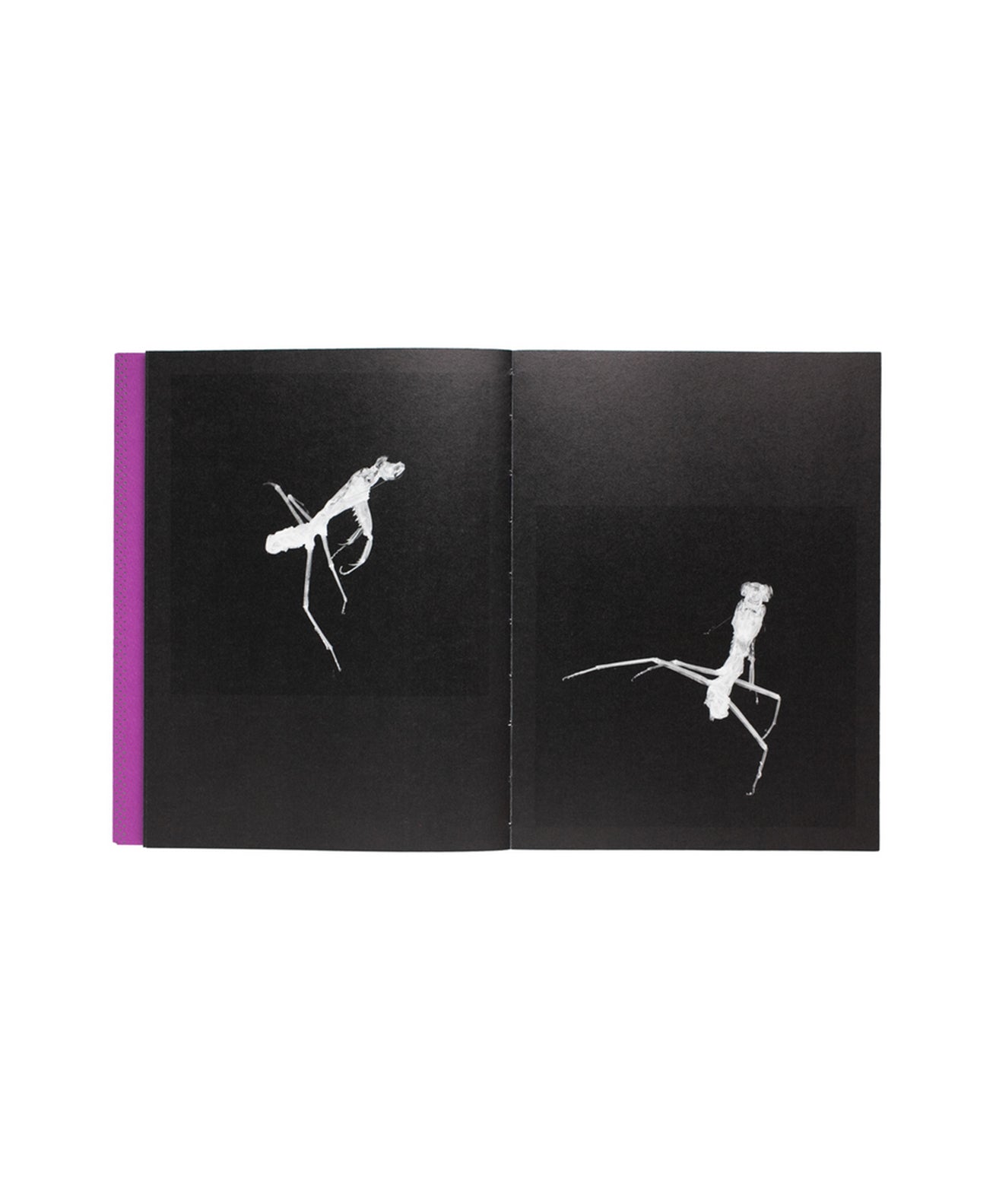 SHINYA ARIMOTO - TOKYO DEBUGGER (SIGNED)