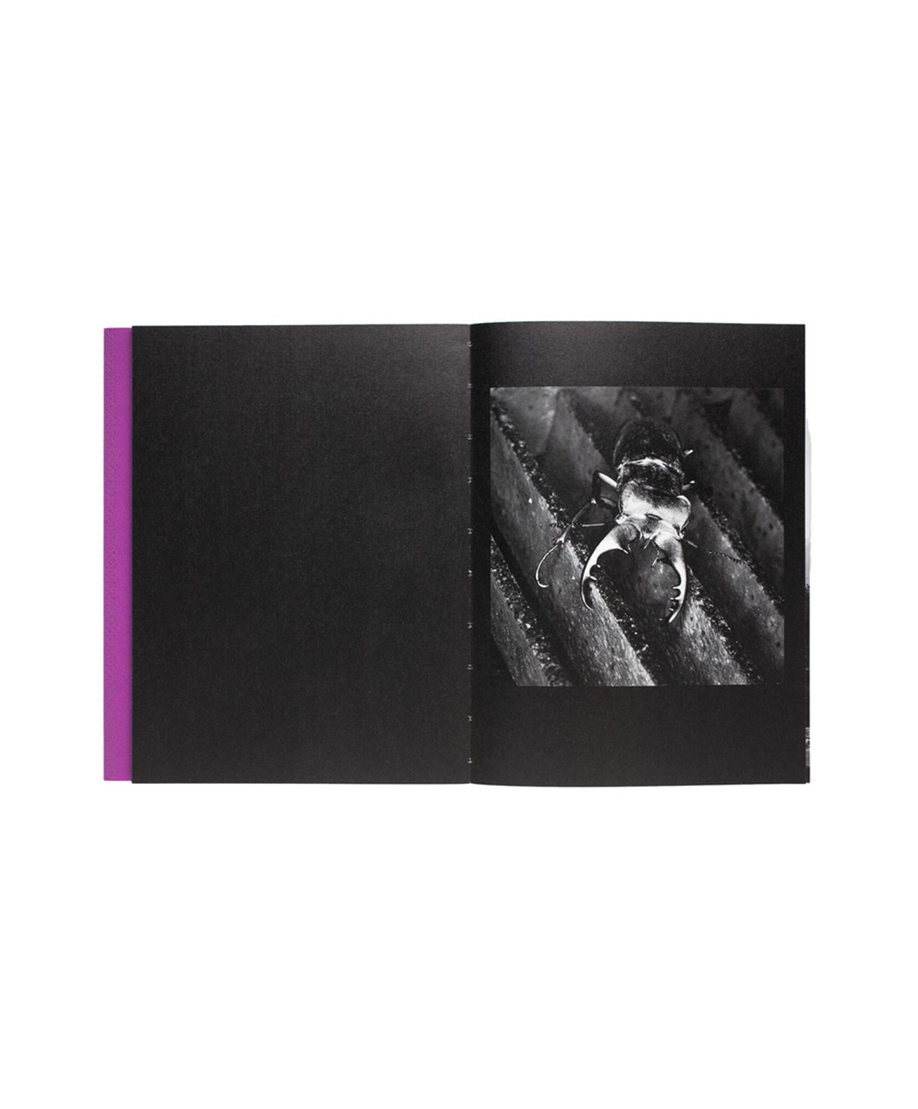 SHINYA ARIMOTO - TOKYO DEBUGGER (SIGNED)