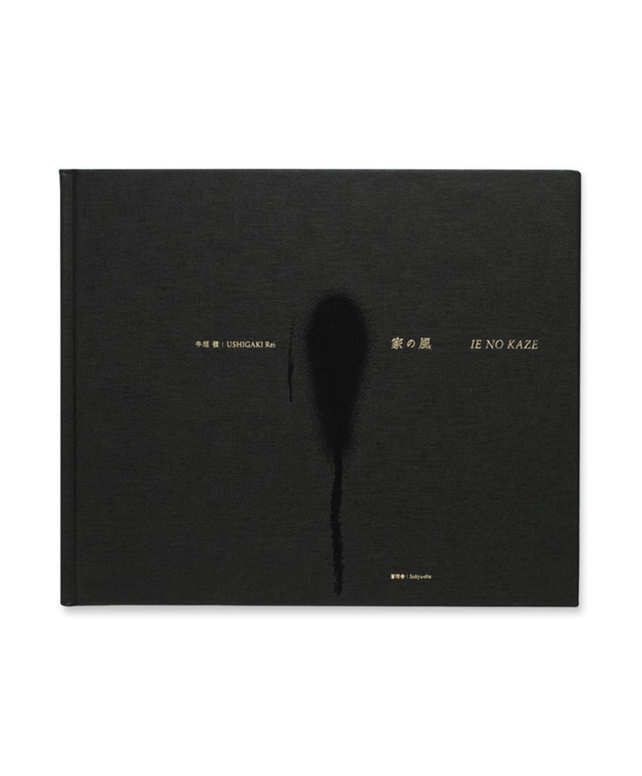 REI USHIGAKI - IE NO KAZE