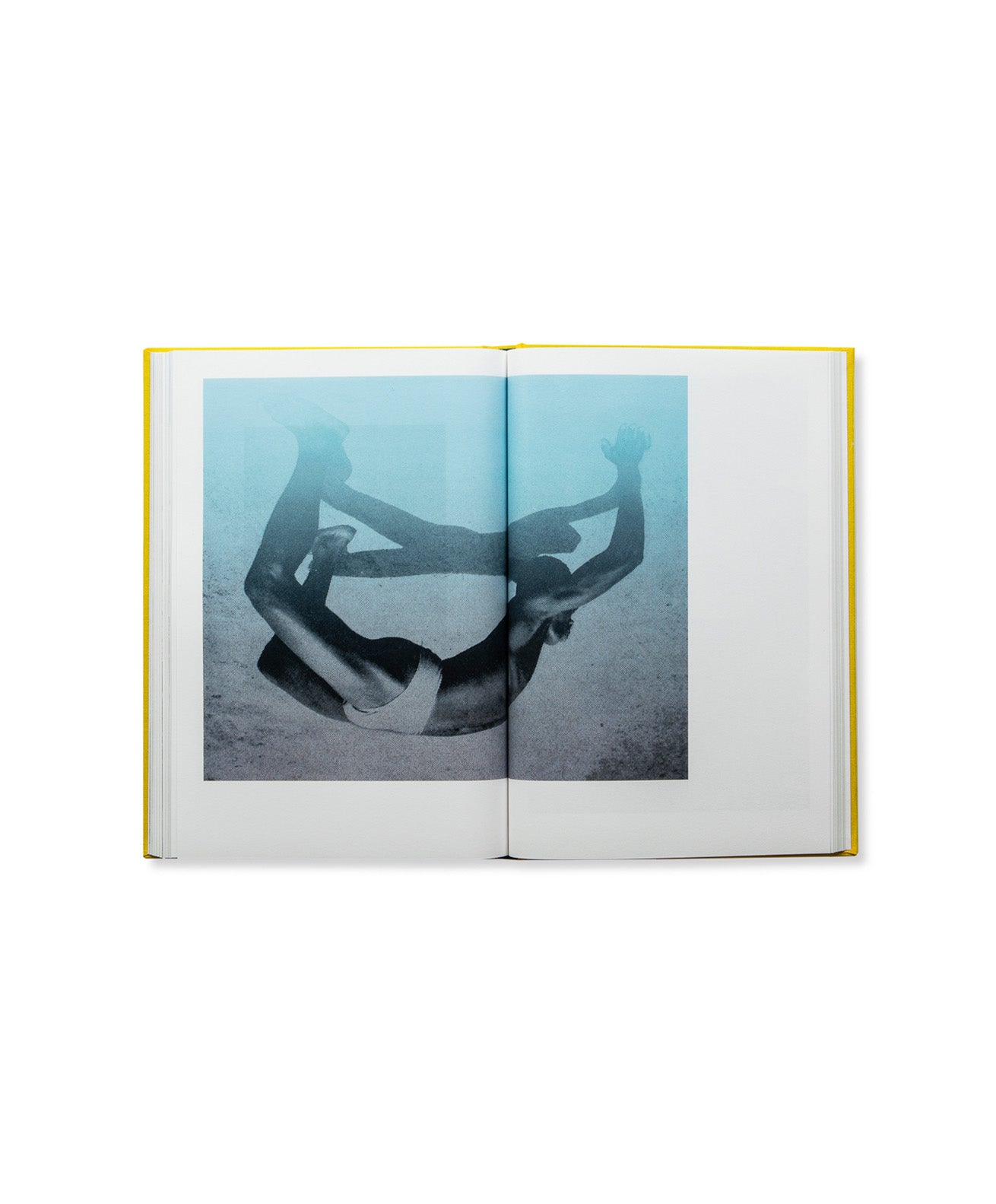 GLORIA OYARZABAL _ WOMAN GO NO'GREE