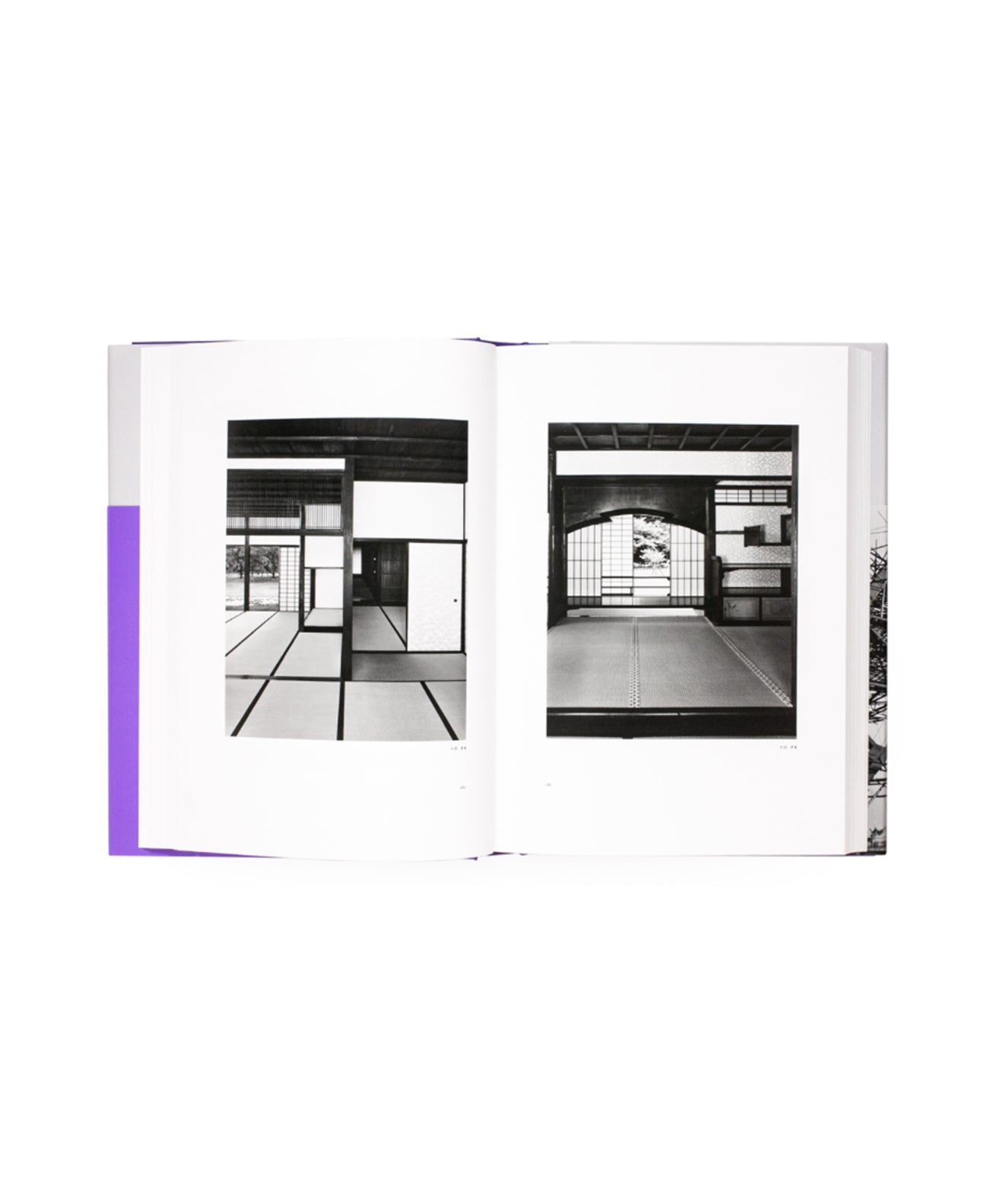 YASUHIRO ISHIMOTO - CENTENNIAL
