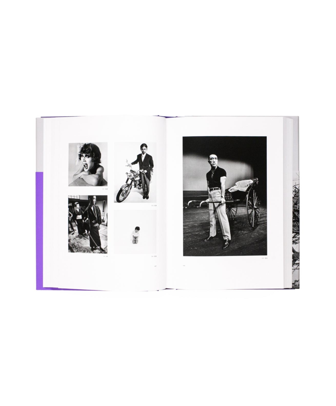 YASUHIRO ISHIMOTO - CENTENNIAL