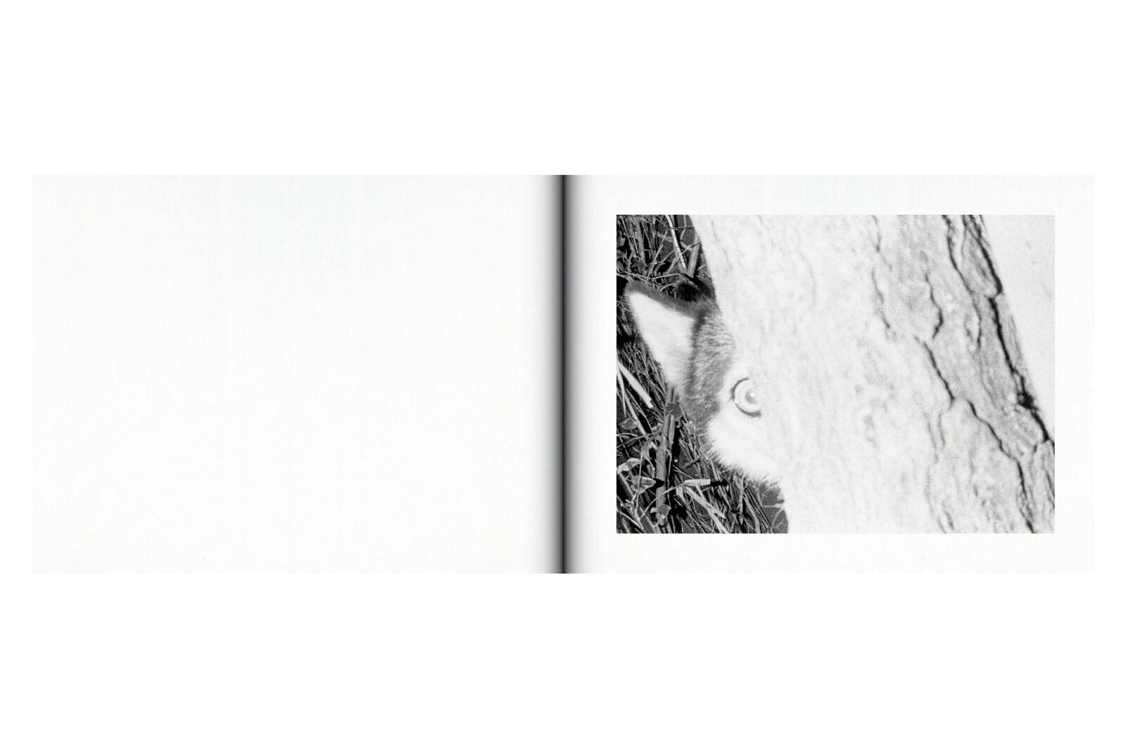 Issei Suda -  Family Diary