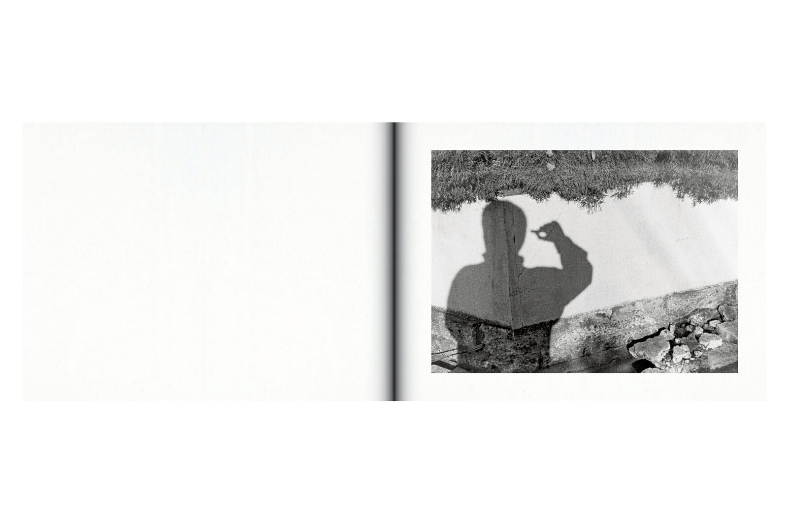 Issei Suda -  Family Diary