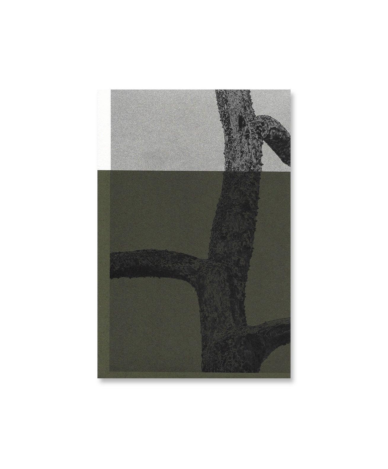 PAUL CUPIDO - 4 a.m. (SIGNED)