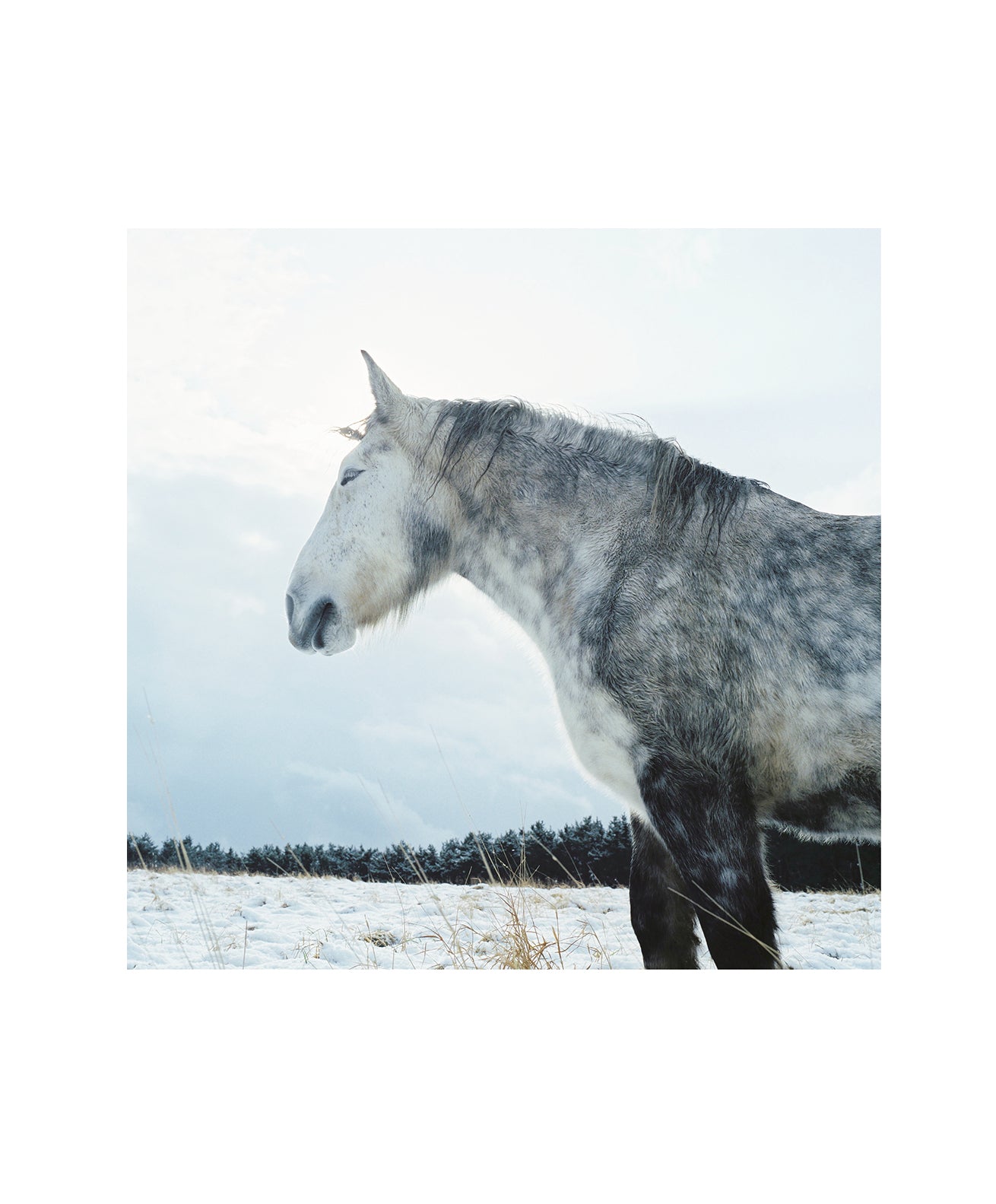 Mahiro Toka - Frozen Light