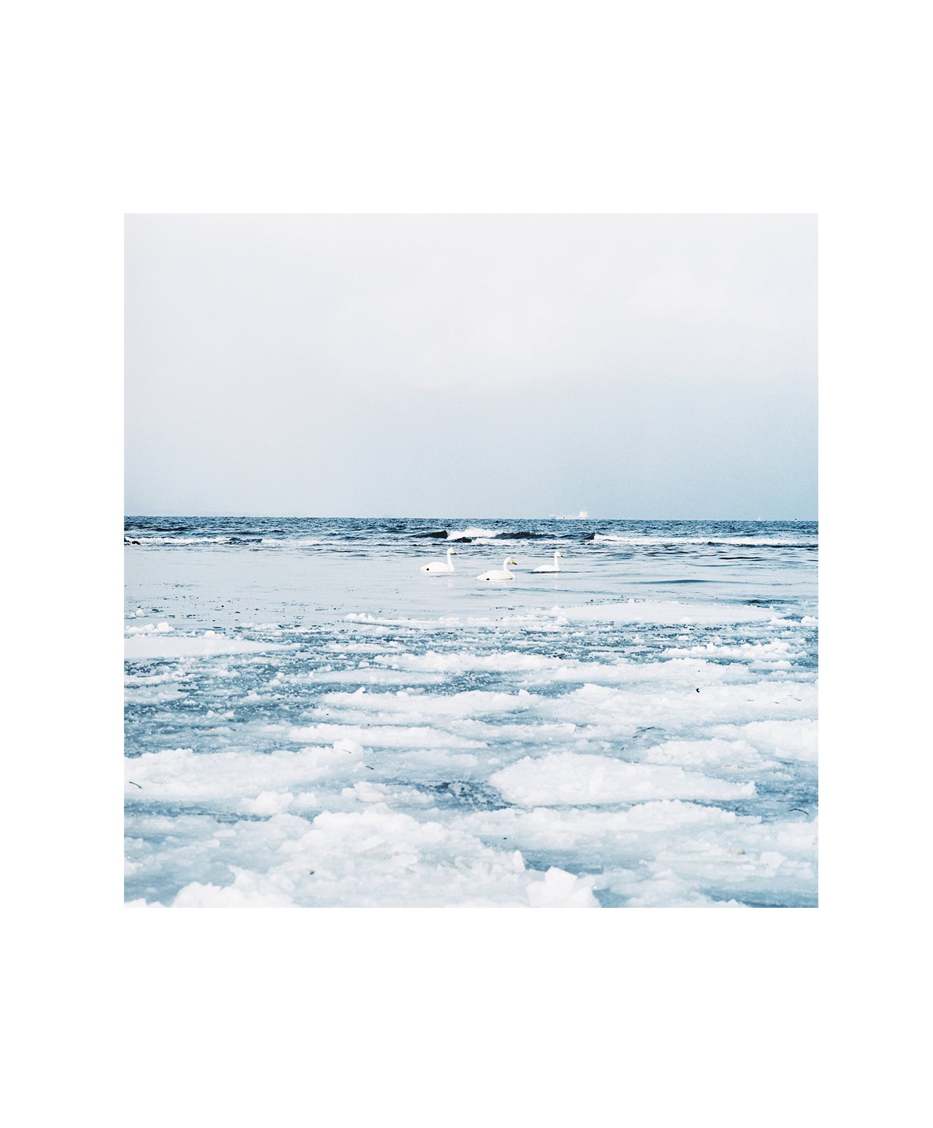 Mahiro Toka - Frozen Light