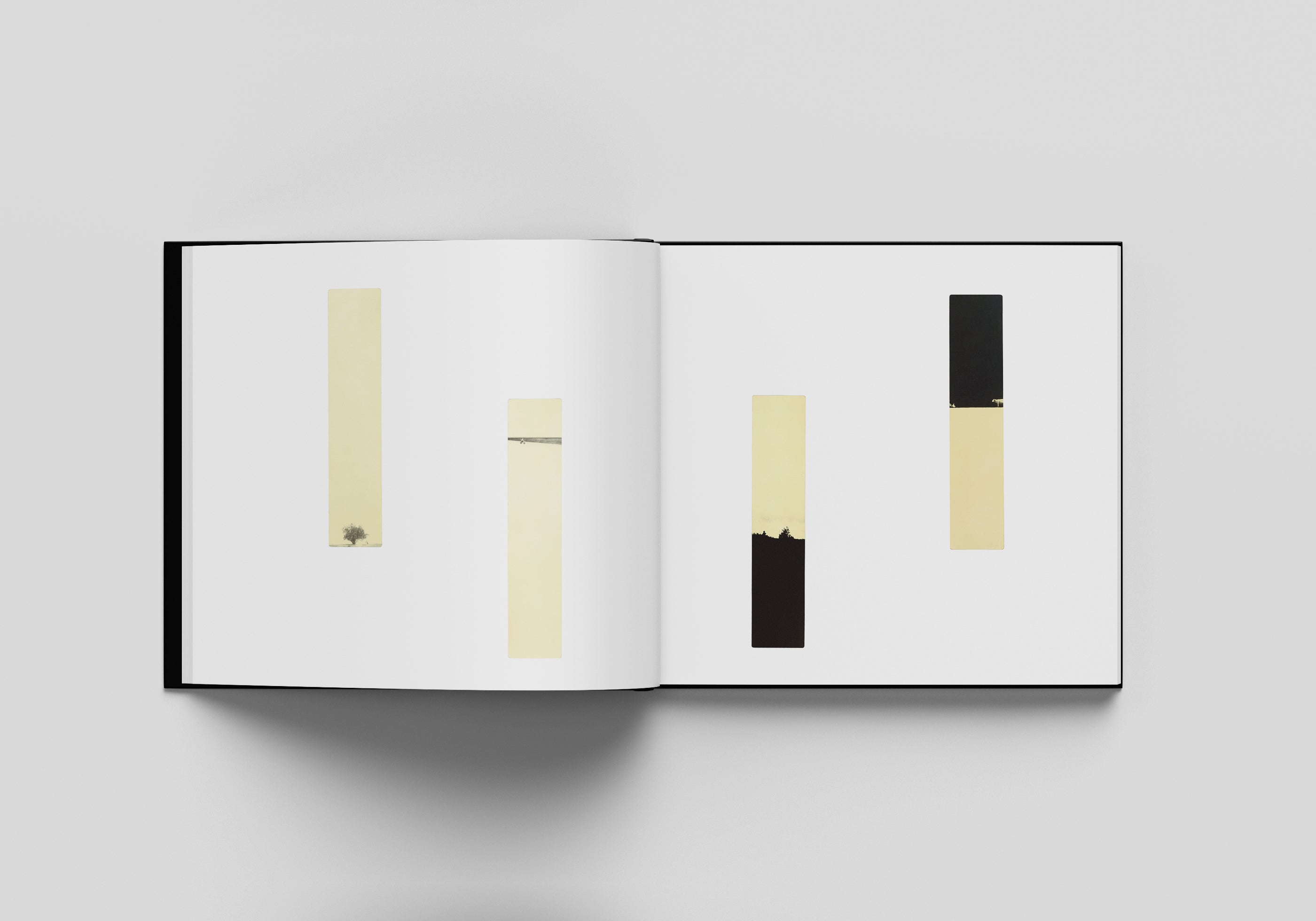 MIHO KAJIOKA - FLOWERS BLOOM, BUTTERFLIES COME