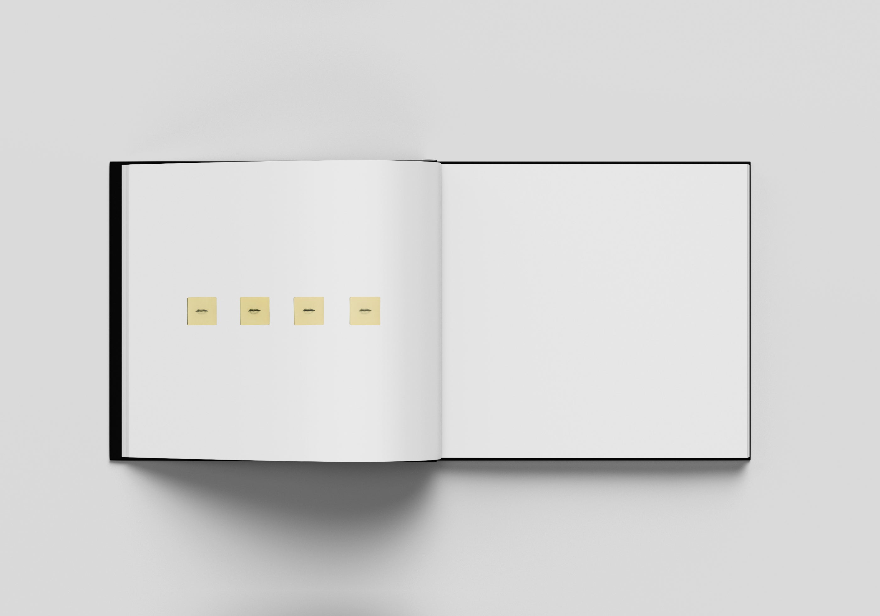 MIHO KAJIOKA - FLOWERS BLOOM, BUTTERFLIES COME