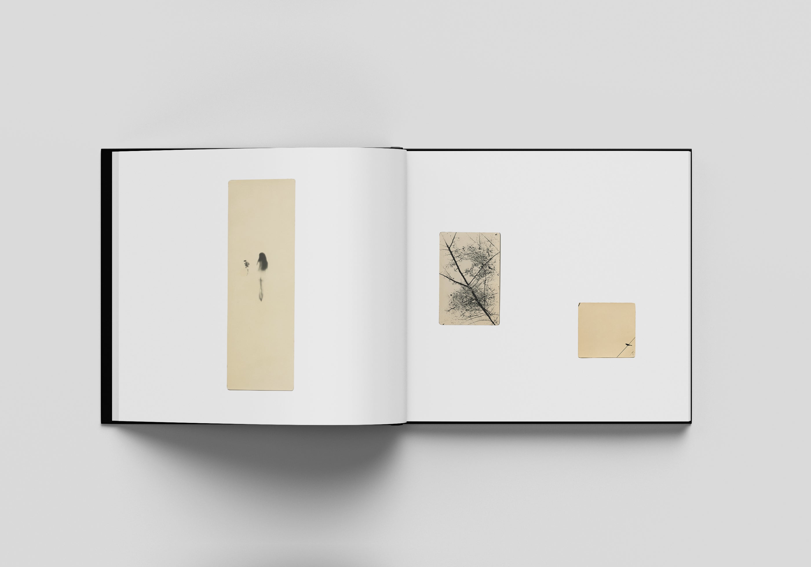 MIHO KAJIOKA - FLOWERS BLOOM, BUTTERFLIES COME