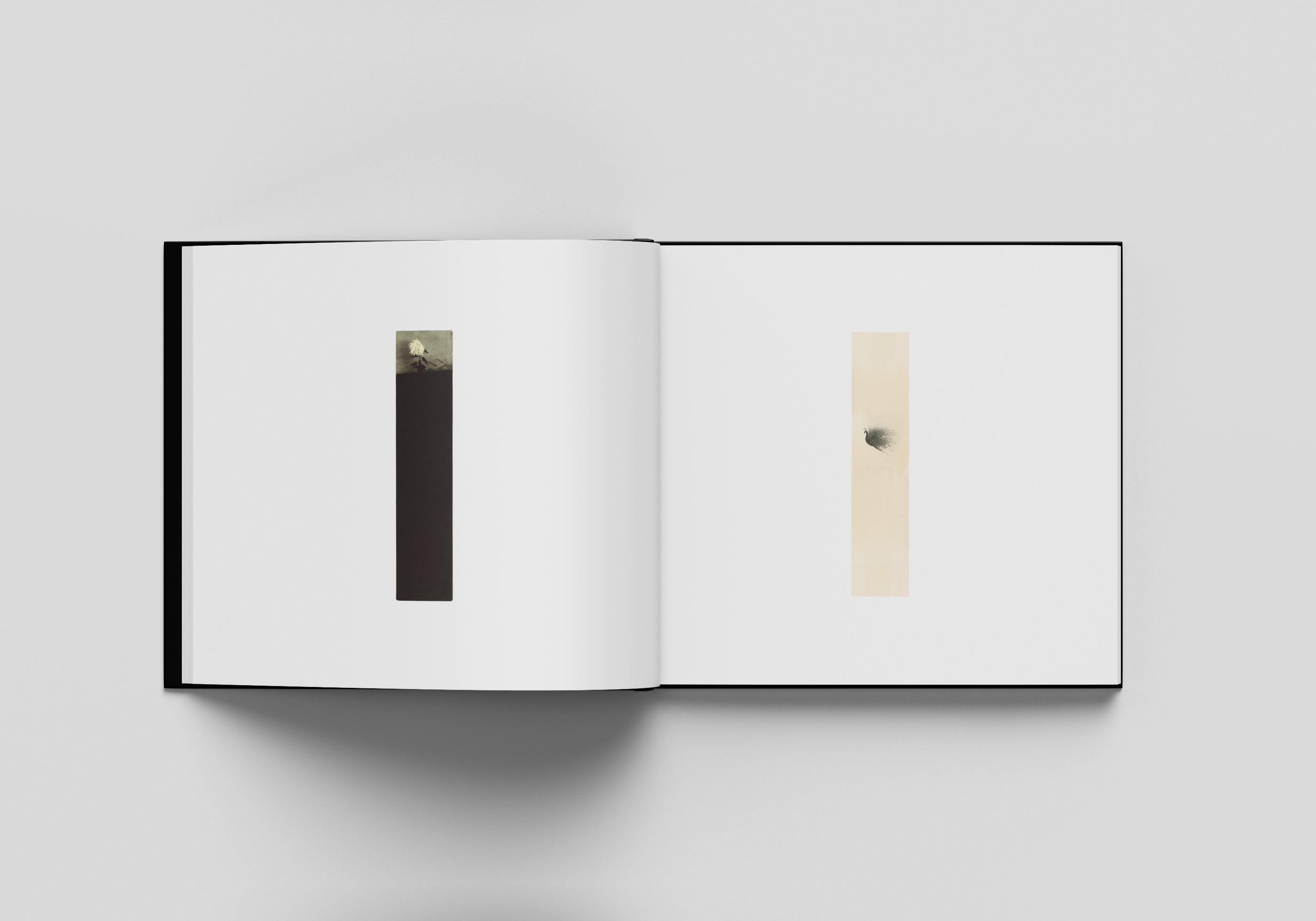 MIHO KAJIOKA - FLOWERS BLOOM, BUTTERFLIES COME