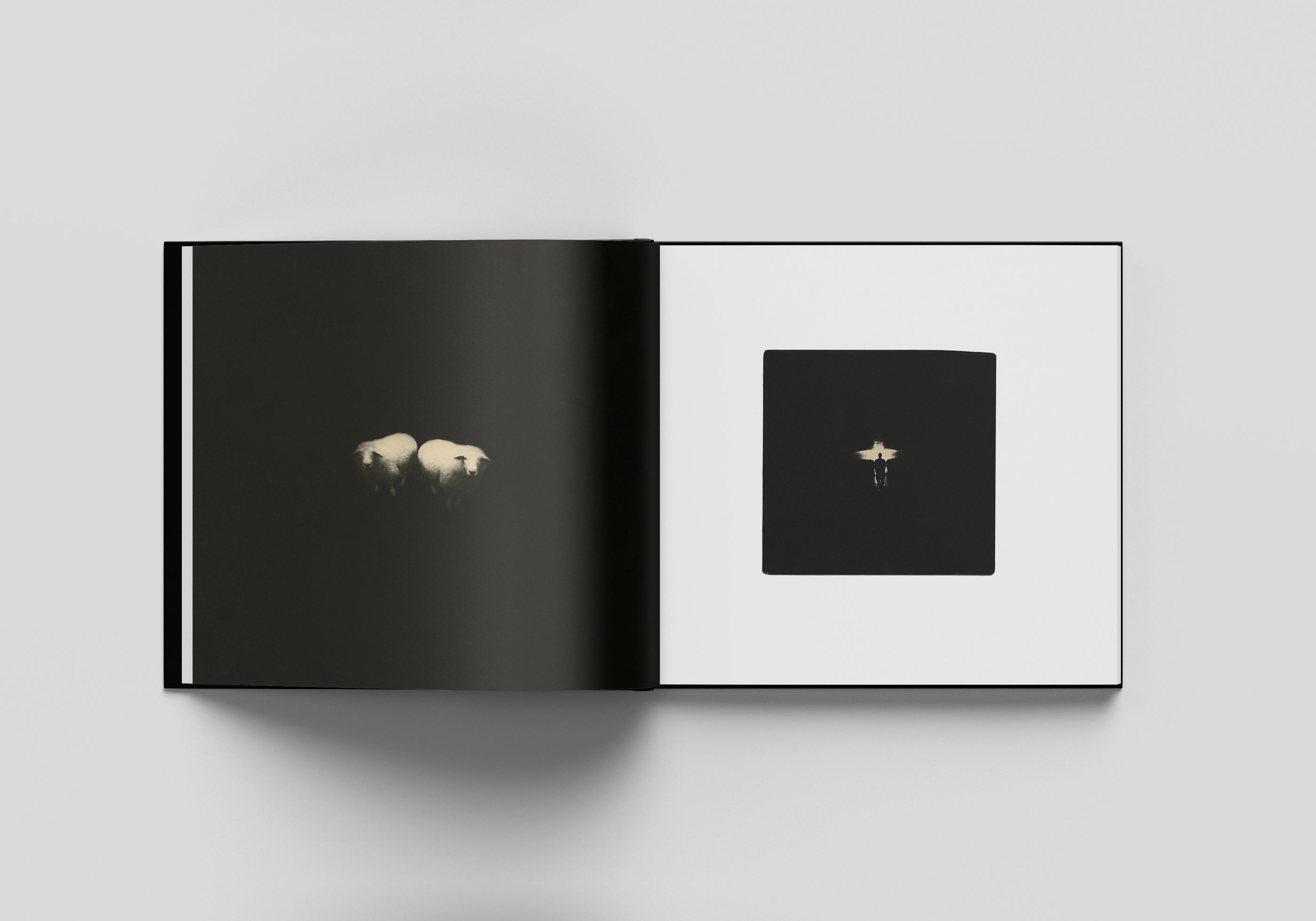 MIHO KAJIOKA - FLOWERS BLOOM, BUTTERFLIES COME