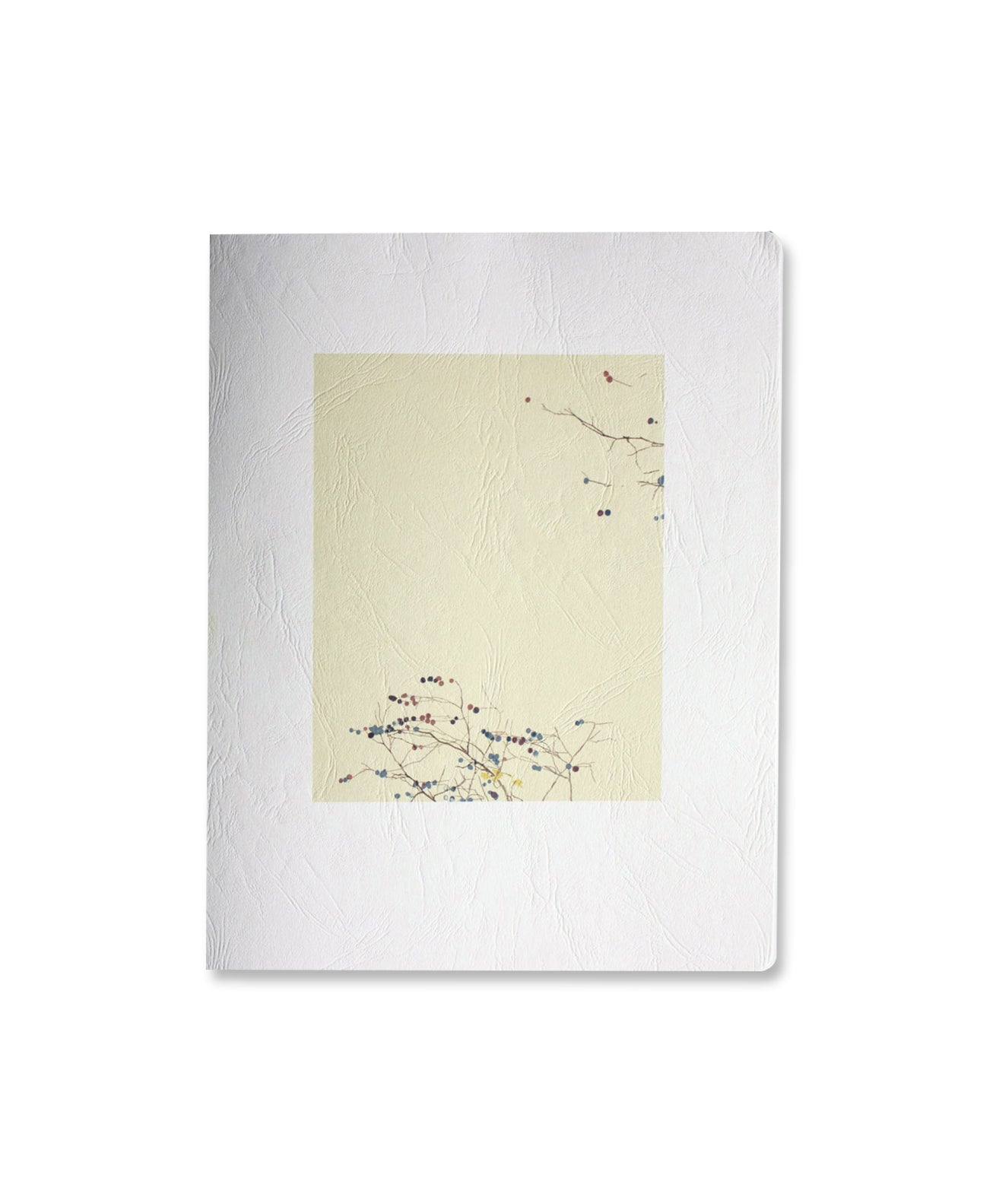 ISRAEL ARINO _ VOYAGE EN PAYS DU CLERMONTOIS