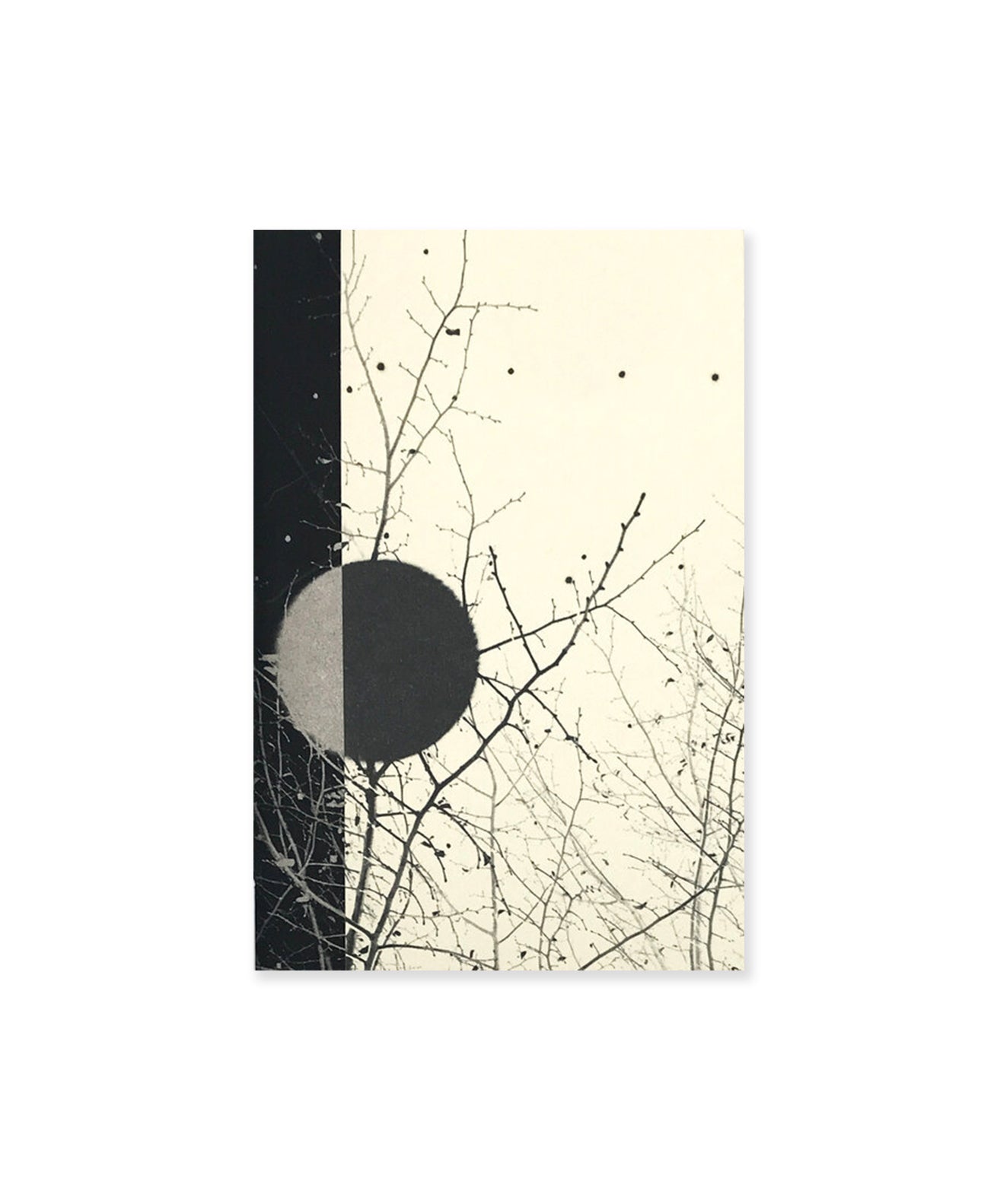 PAUL CUPIDO - MUYAKU