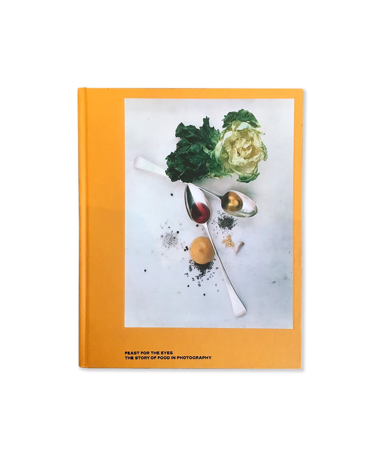 SUSAN BRIGHT - Feast for the eyes